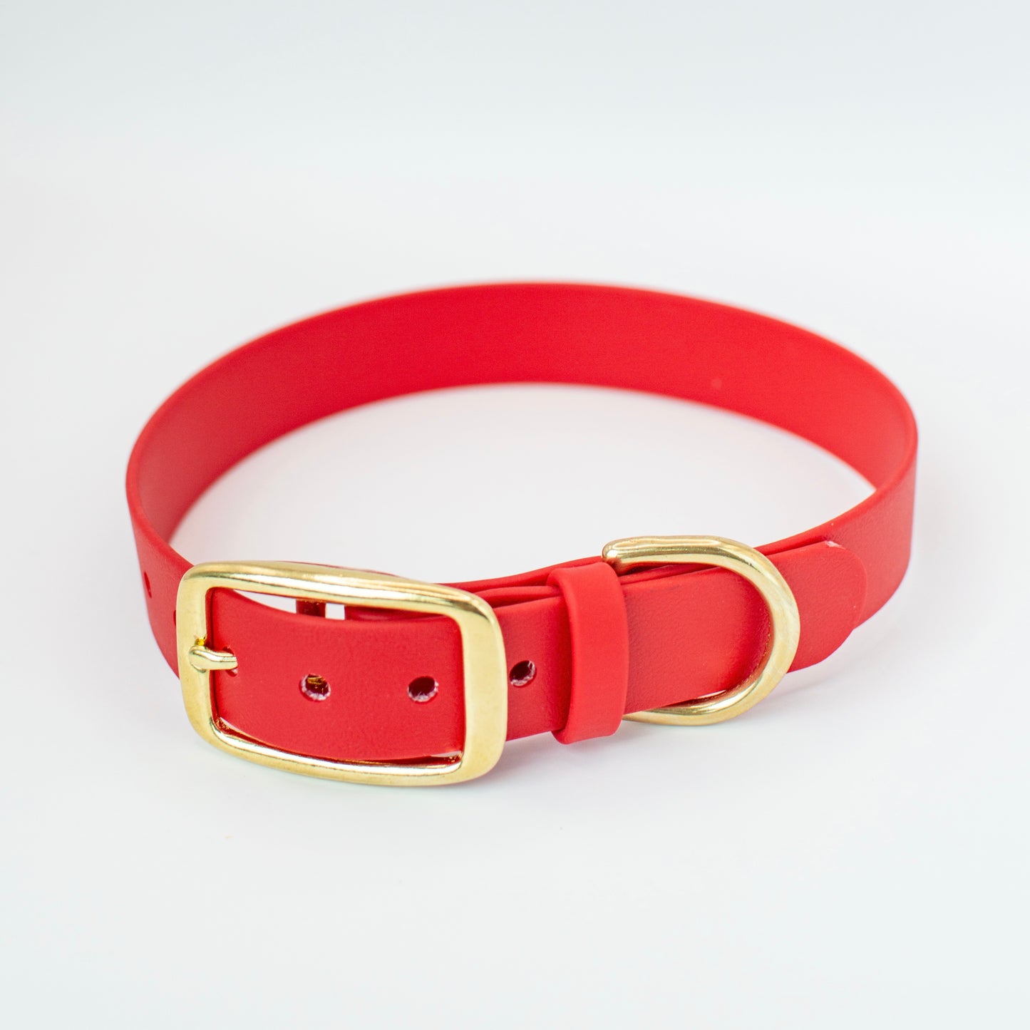 Classic Biothane Dog Collar