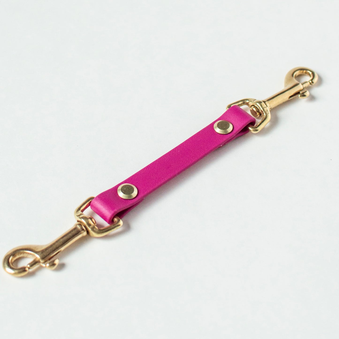 Biothane Dog Safety Strap