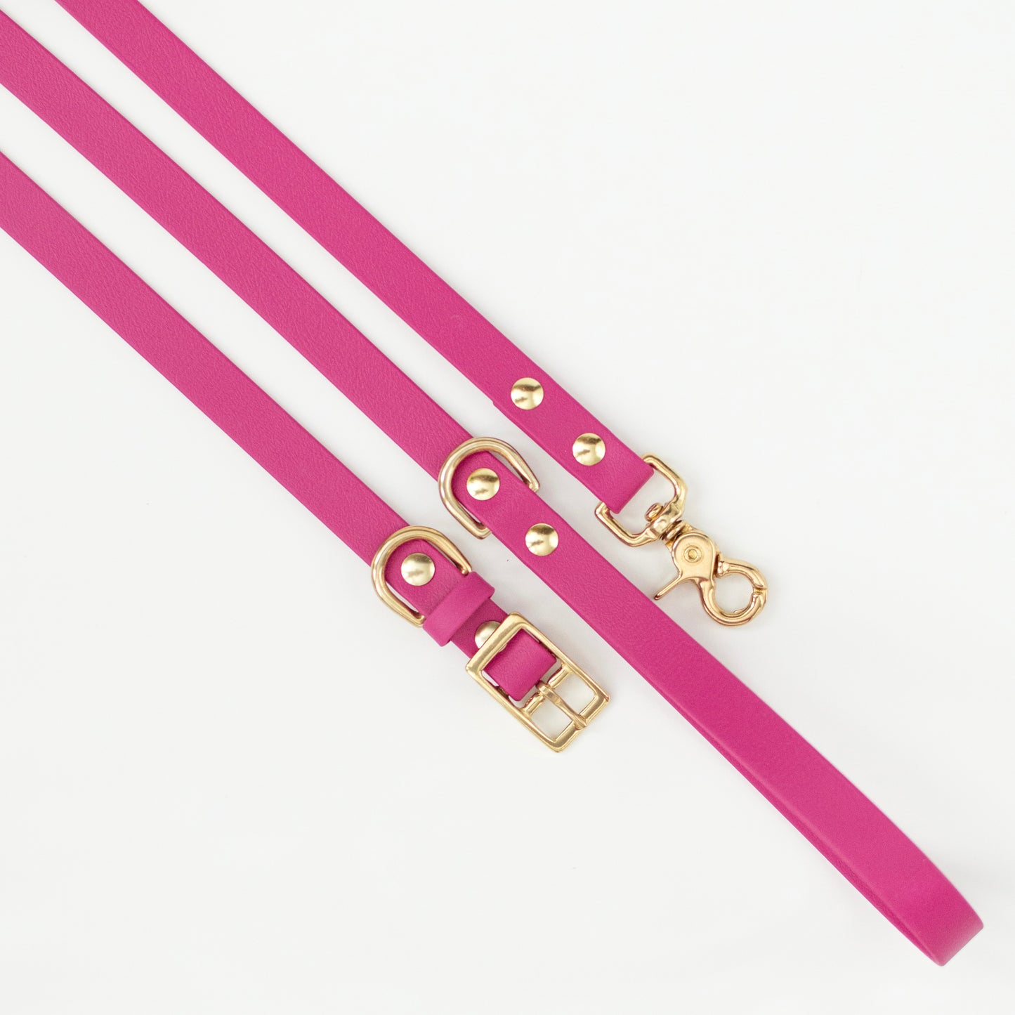 Wanderlust Pup Co. Biothane dog leash. Handmade in British Columbia, Canada. Waterproof and odourproof dog collar and leash