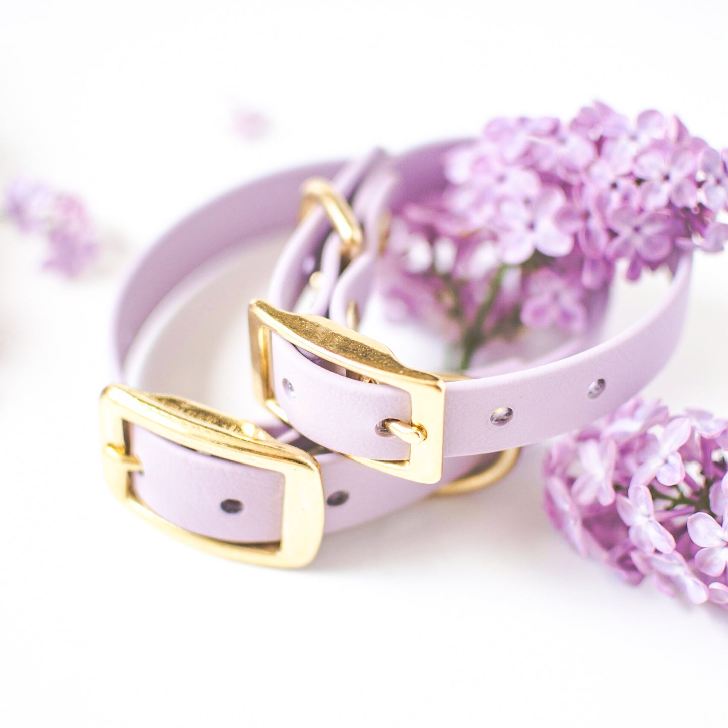 Wanderlust Pup Co. biothane dog collars are waterproof, odour-resistant, and ready for a walk in the city, hike in the woods, or a day at the beach. Made of Biothane with solid brass hardware. Handmade British Columbia, Canada