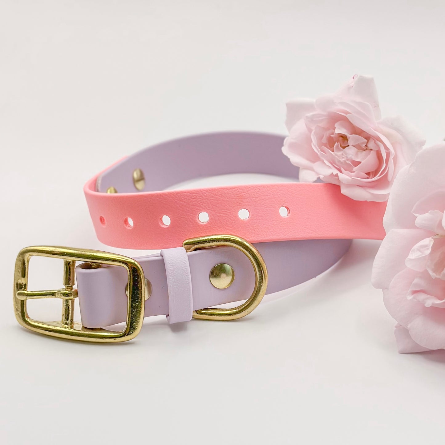 Two-Tone Biothane Dog Collar