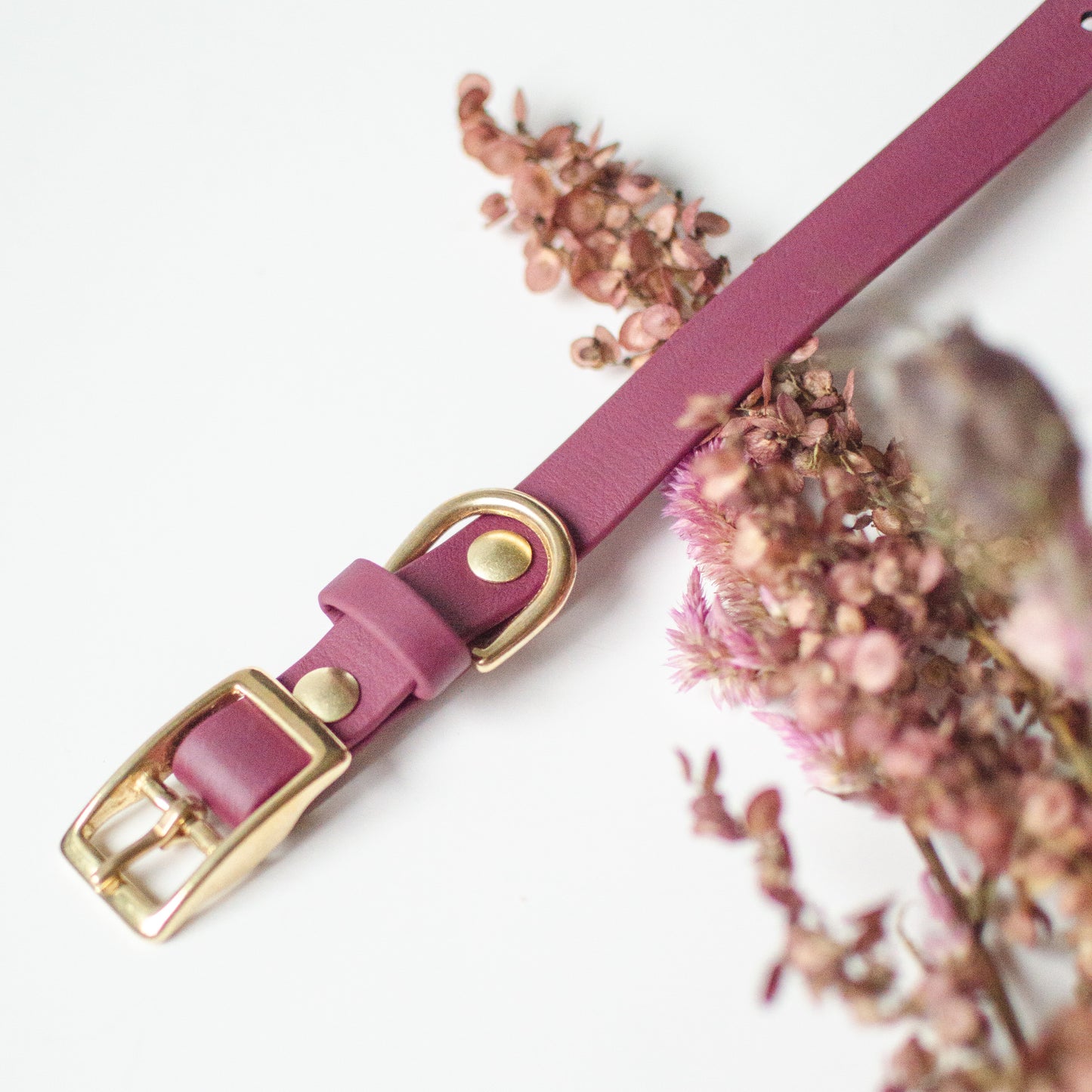 Wanderlust Pup Co. biothane dog collars are waterproof, odour-resistant, and ready for a walk in the city, hike in the woods, or a day at the beach. Made of Biothane with solid brass hardware. Handmade British Columbia, Canada