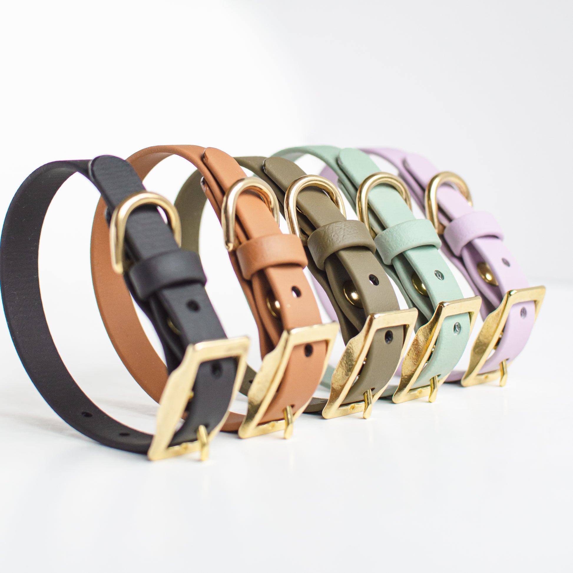 Biothane Dog Collar Handmade in Canada. Shipping to USA. Waterproof, odourproof, strong and easy to clean dog leash.