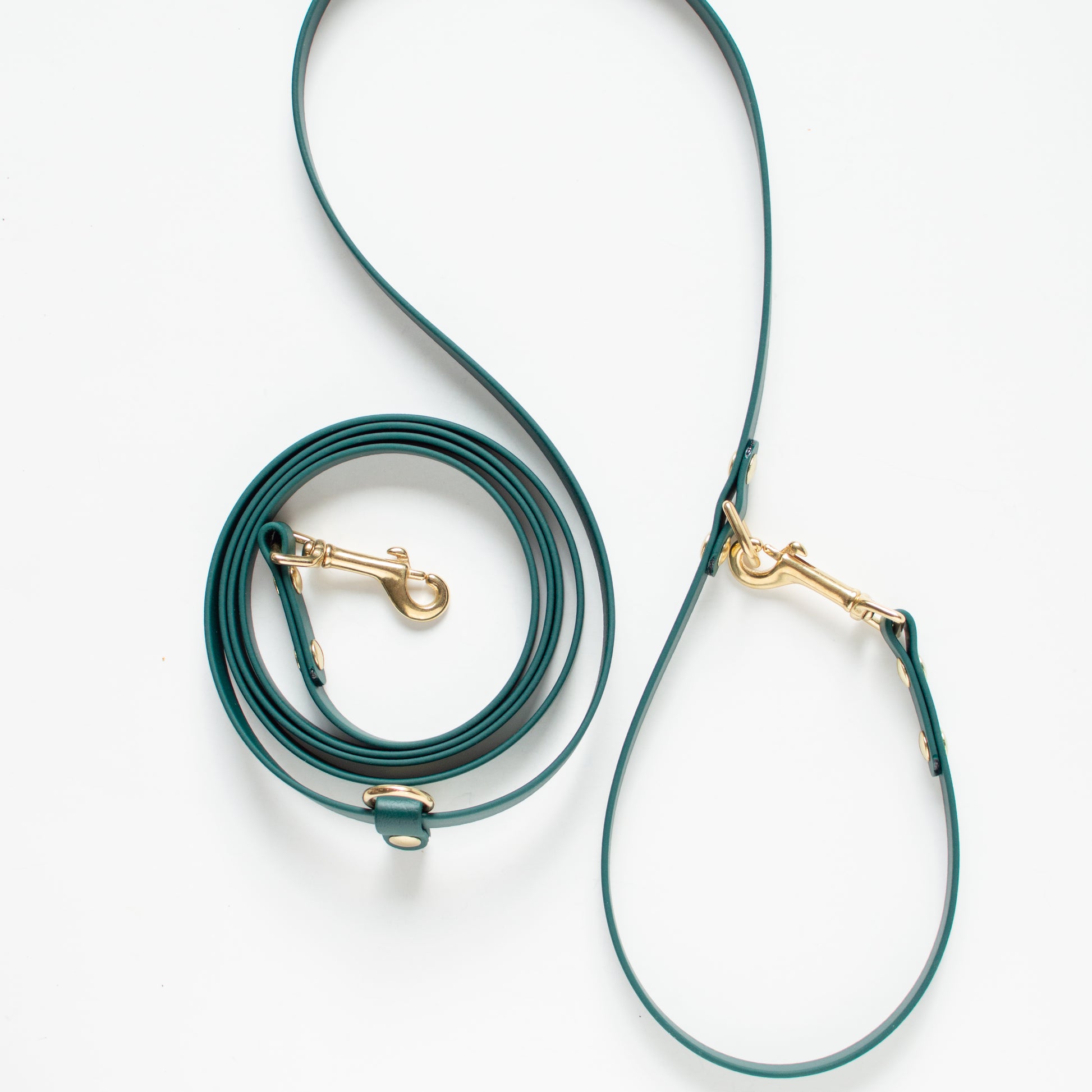 Handsfree waterproof biothane dog leash with solid brass hardware. Handmade in British Columbia, Canada