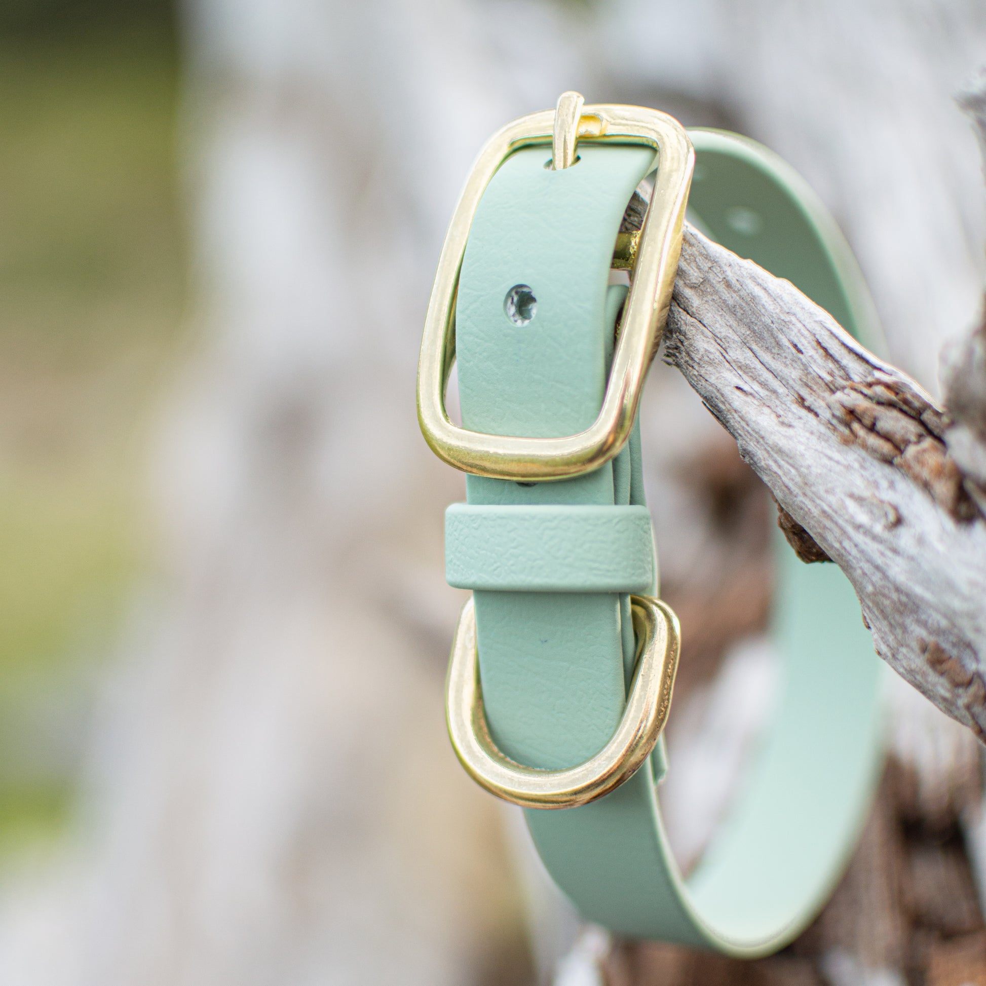 Biothane Dog Collar Handmade in Canada. Shipping to USA. Waterproof, odourproof, strong and easy to clean dog collar.