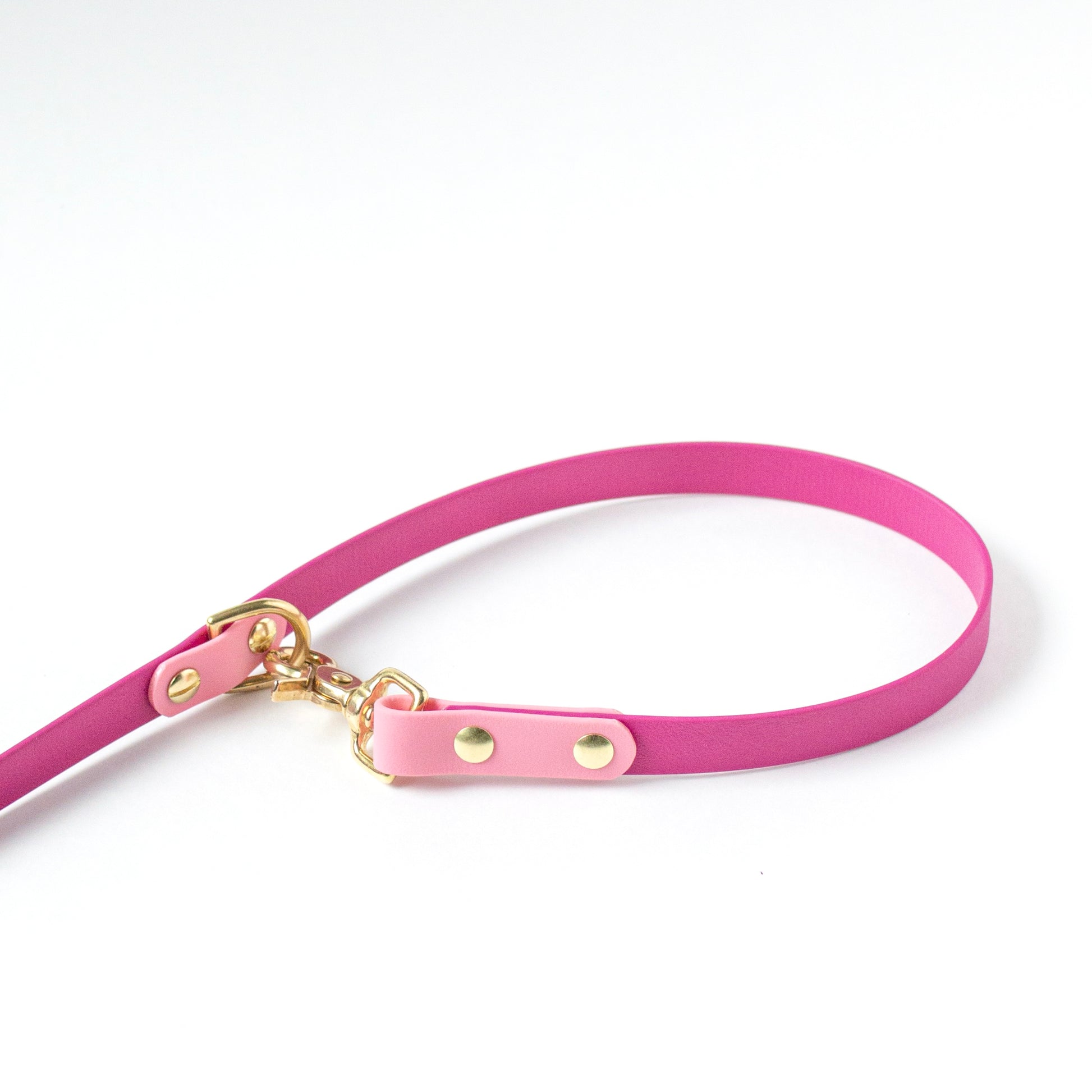 Two-tone biothane hands free dog leash. Vegan Leather. Handmade with biothane and solid brass hardware in British Columbia, Canada.