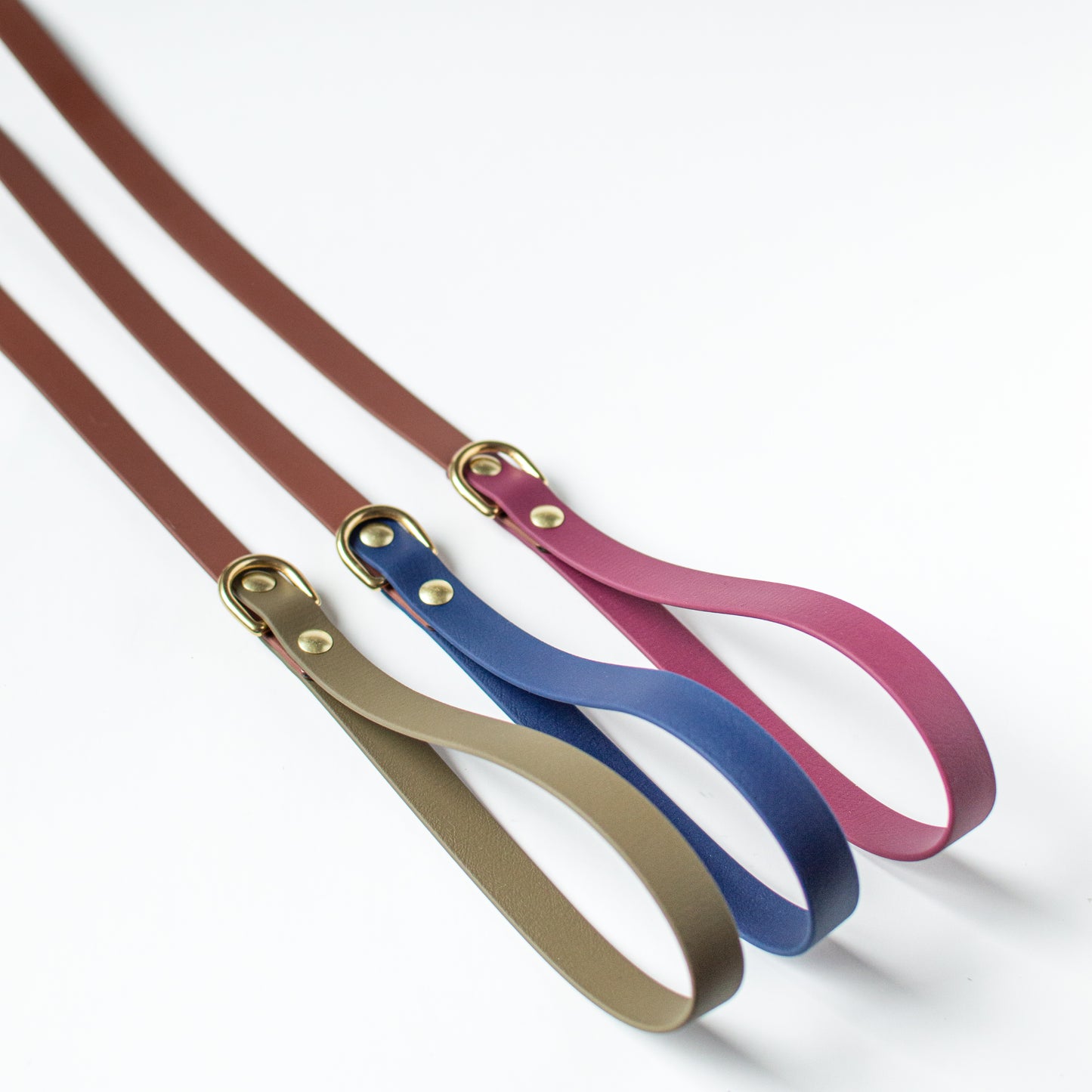 Two-Tone Biothane Dog Leash