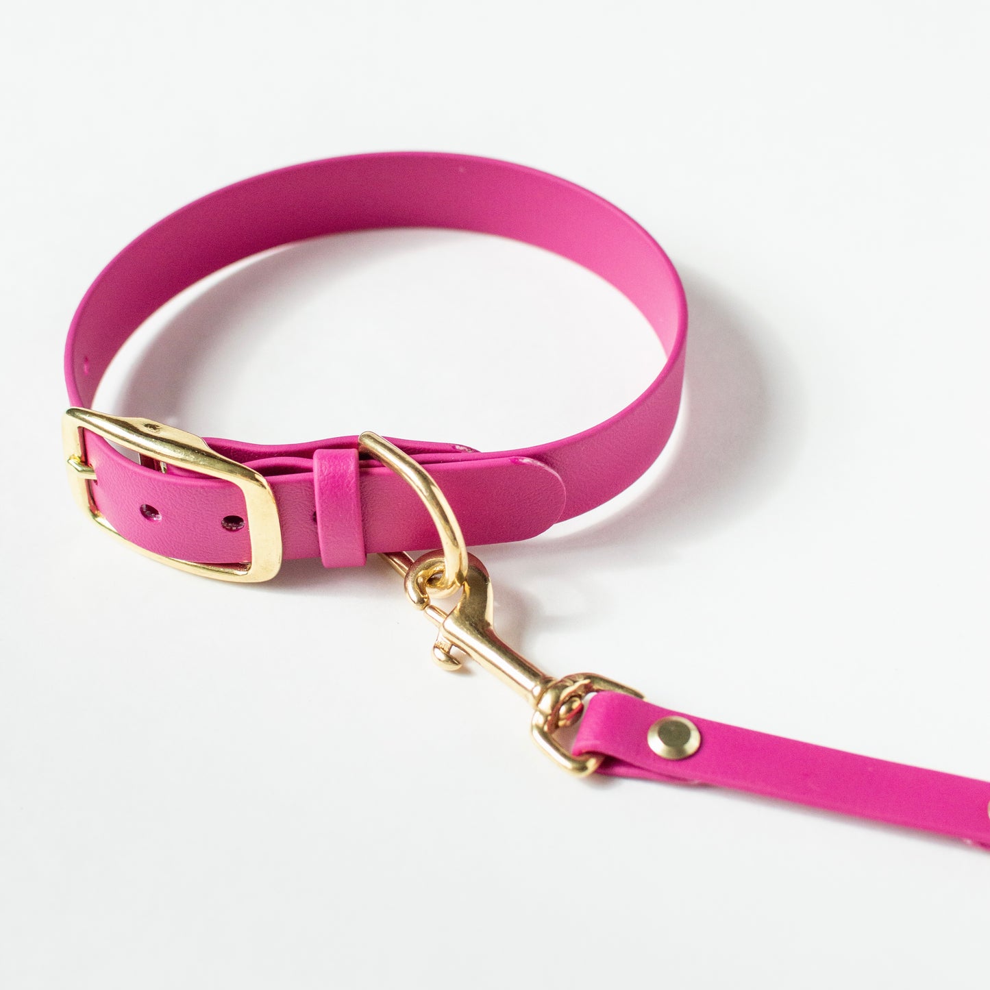 Biothane Dog Safety Strap