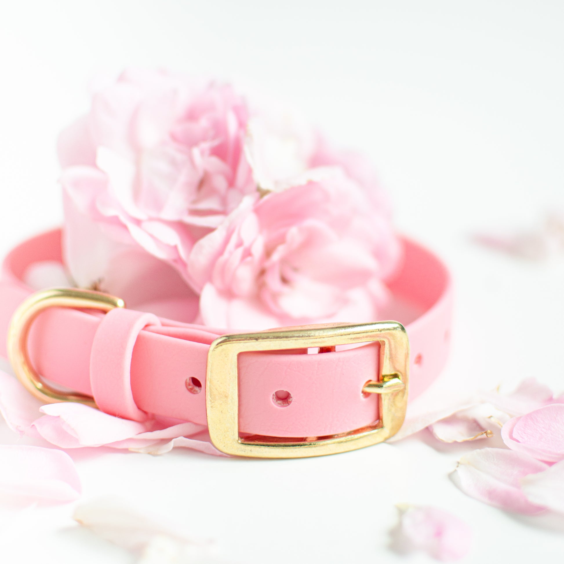 Biothane Dog Collar Handmade in Canada. Shipping to USA. Waterproof, odourproof, strong and easy to clean dog leash.