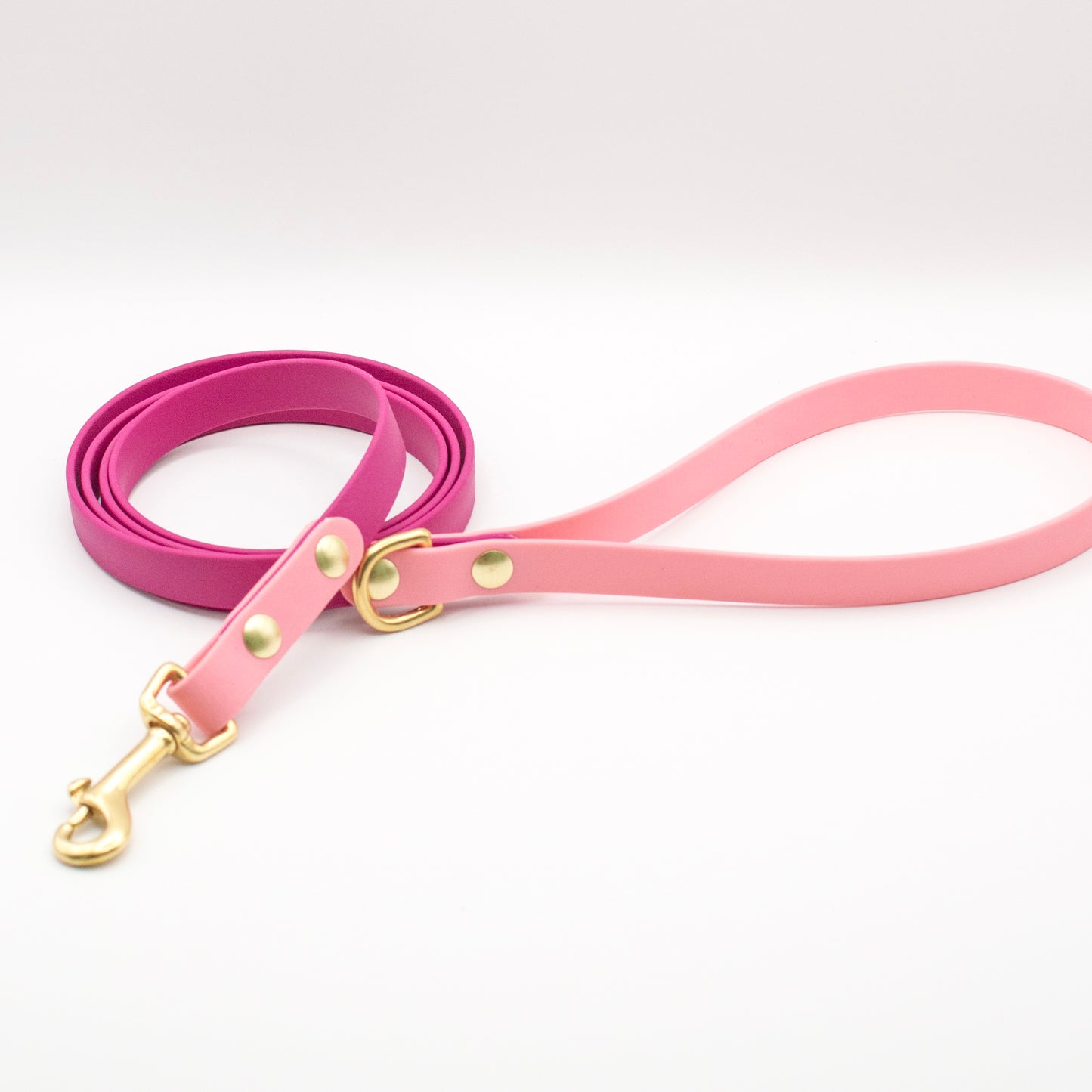 Two-Tone Biothane Dog Leash