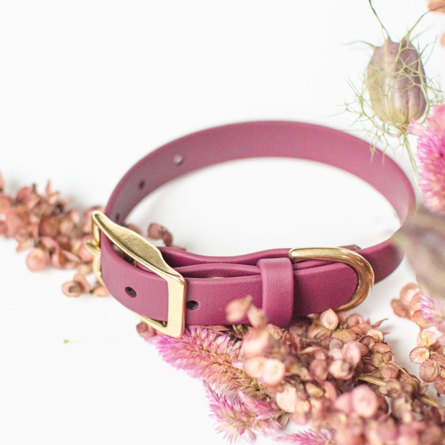 Biothane Dog Collar Handmade in Canada. Shipping to USA. Waterproof, odourproof, strong and easy to clean dog leash.