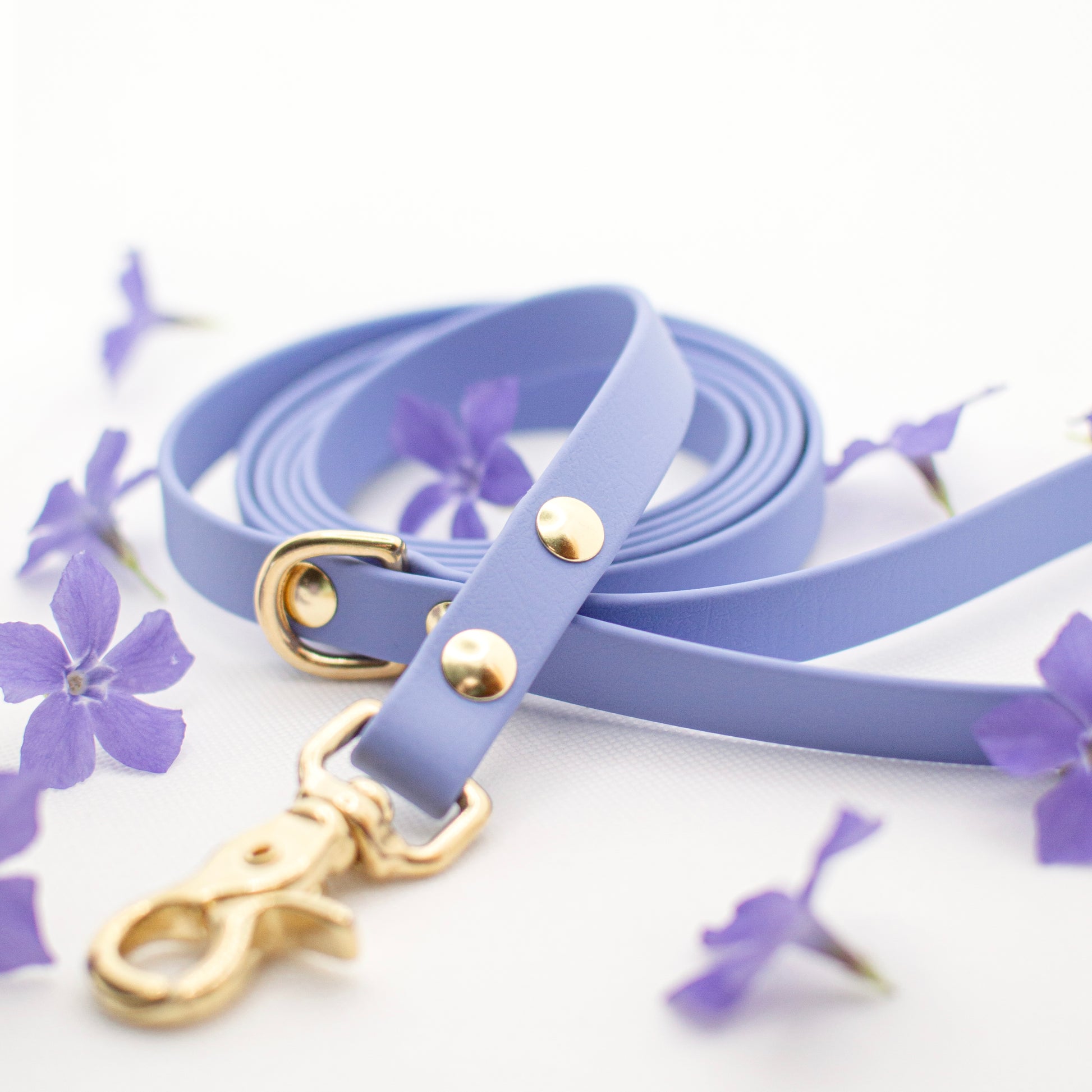 Wanderlust Pup Co. Biothane dog leash. Handmade in British Columbia, Canada. Waterproof and odourproof dog collar and leash