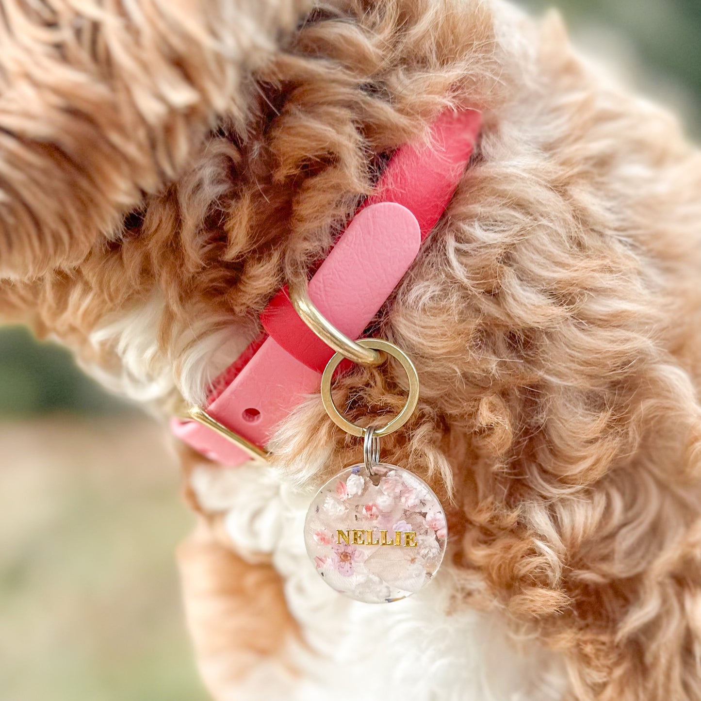 Two-Tone Biothane Dog Collar