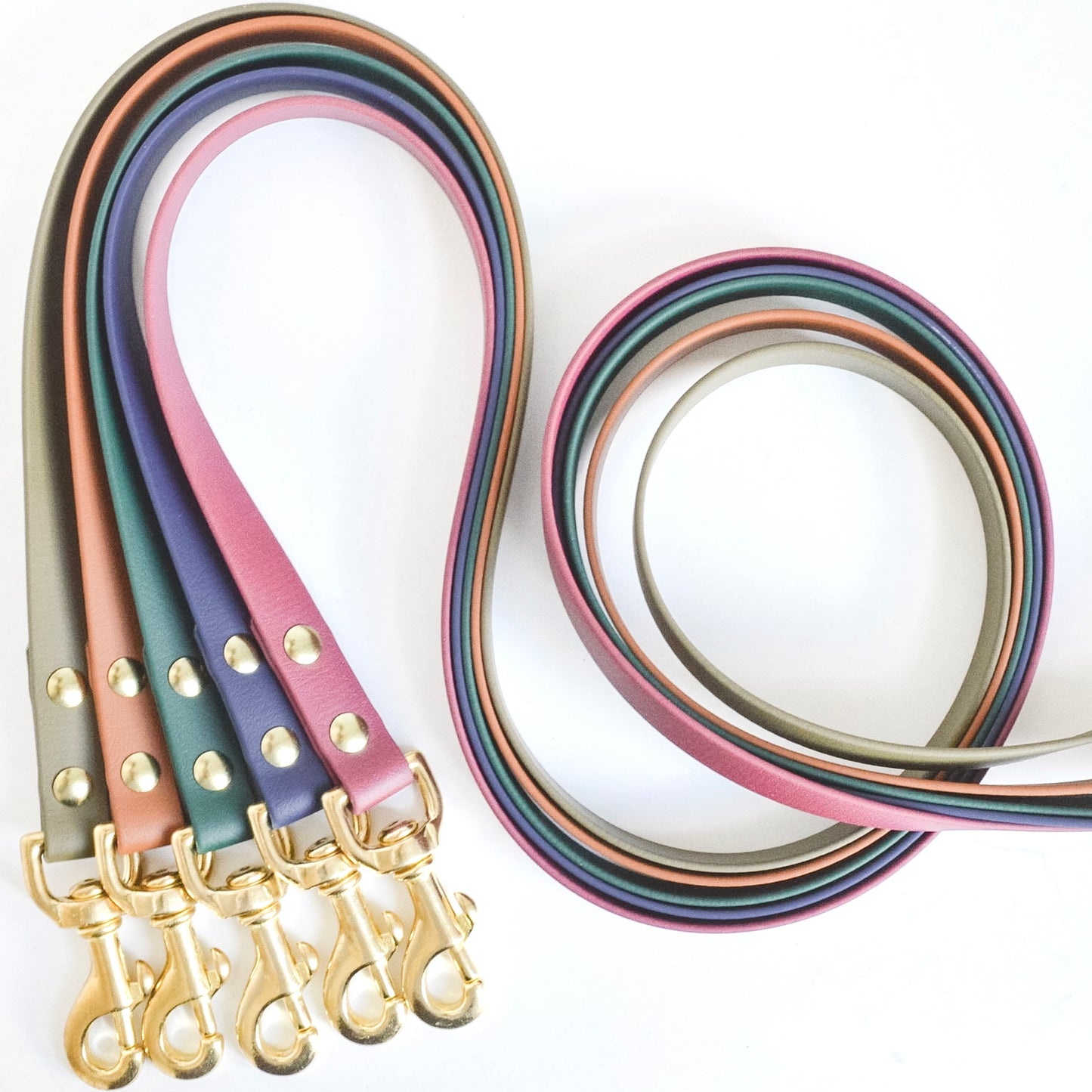 Wanderlust Pup Co. biothane dog leash is waterproof, odour-resistant, and ready for a walk in the city, hike in the woods, or a day at the beach. Made of Biothane with solid brass hardware. Handmade  British Columbia, Canada