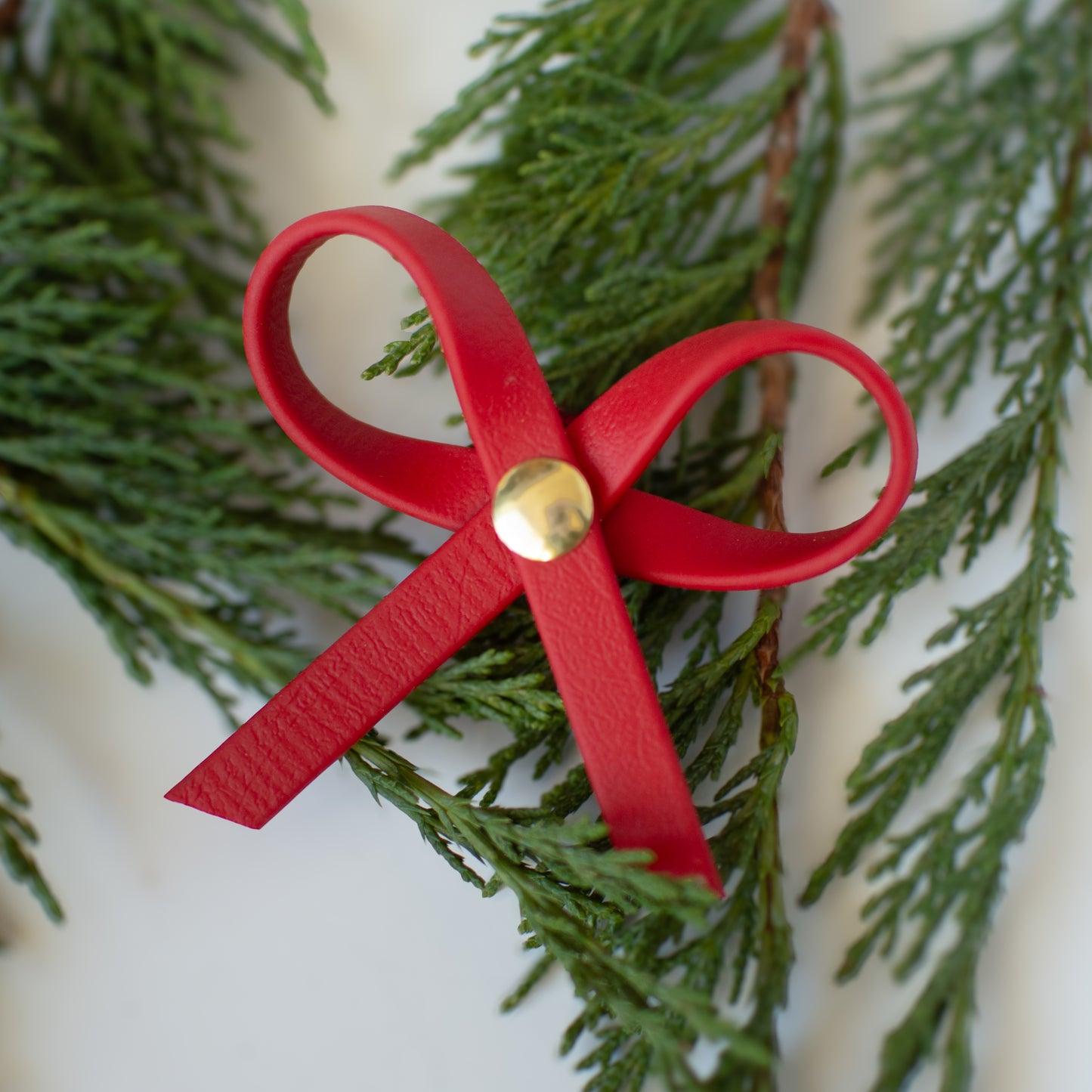 Wanderlust Pup Co. Biothane Dog Christmas Collar. Handmade In British Columbia Canada.