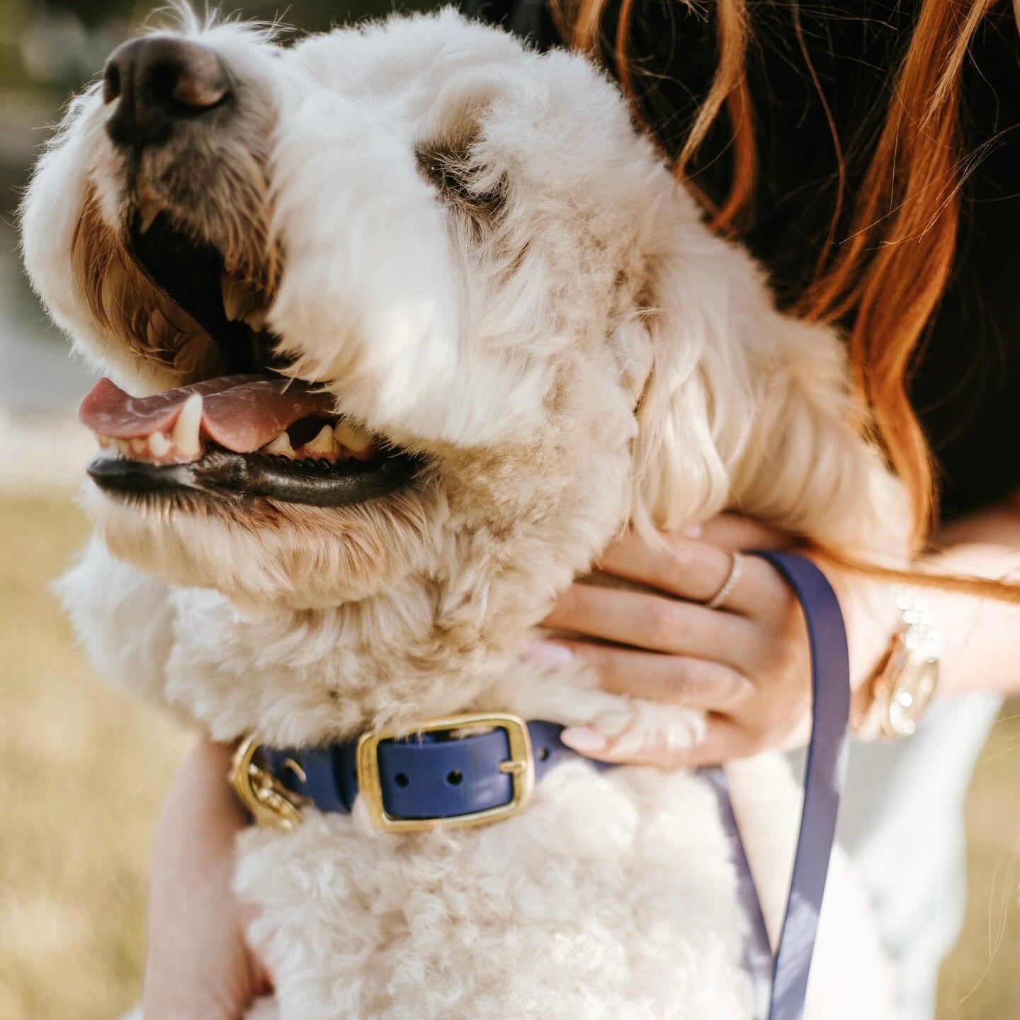 Classic Biothane Dog Collar
