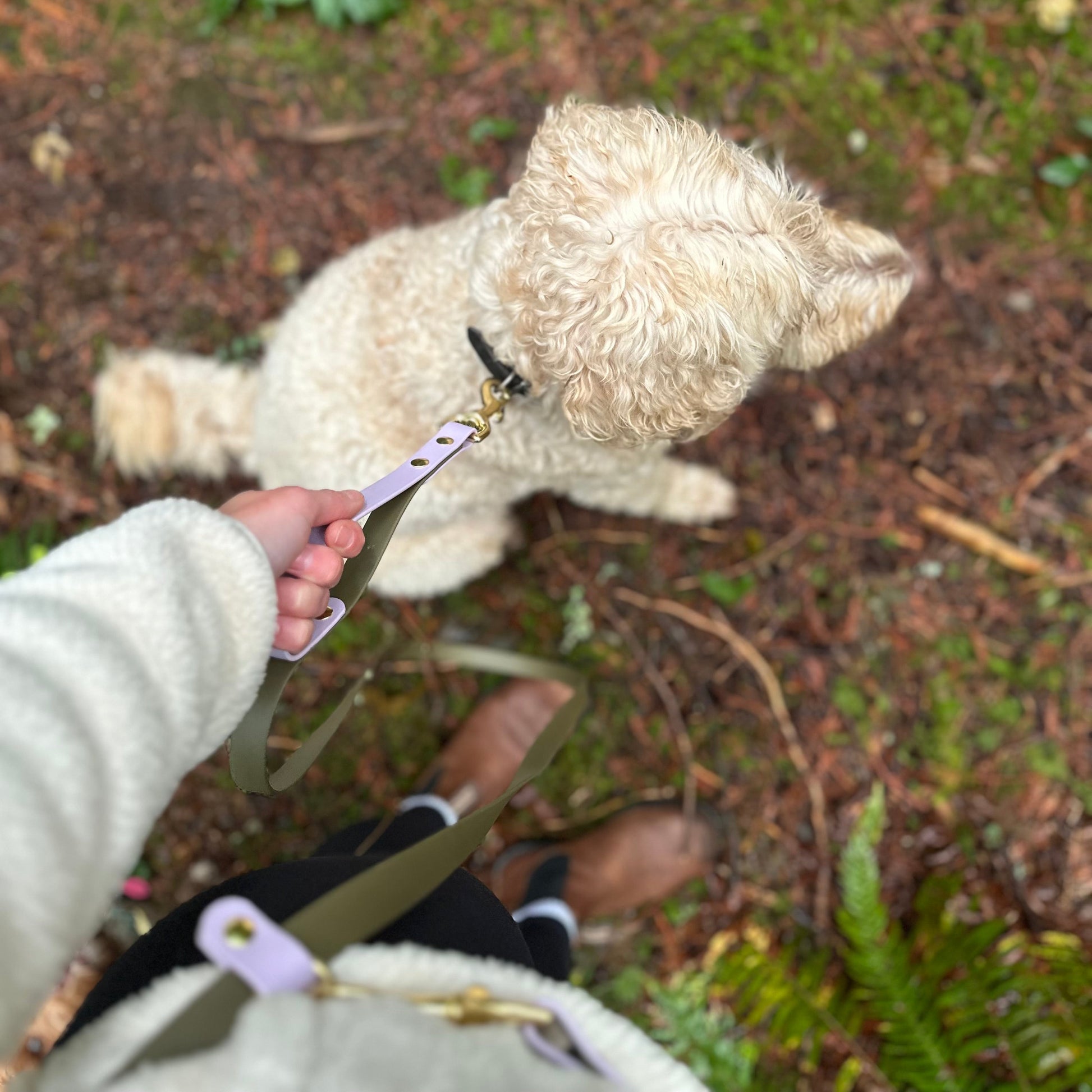 Dog Leash with traffic handle for pulling and extra control