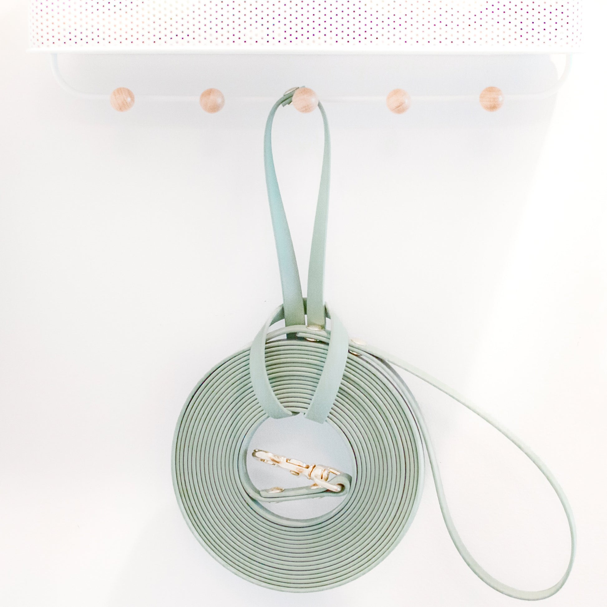 Wanderlust Pup Co biothane waterproof dog leash for training and sniff walks. Hanging loop for longline leash. Made in British Columbia Canada