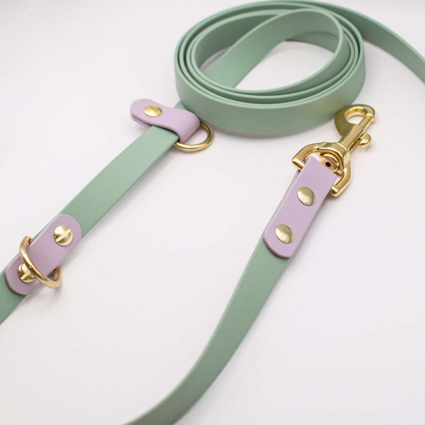 Two-Tone Hands-Free Biothane Dog Leash