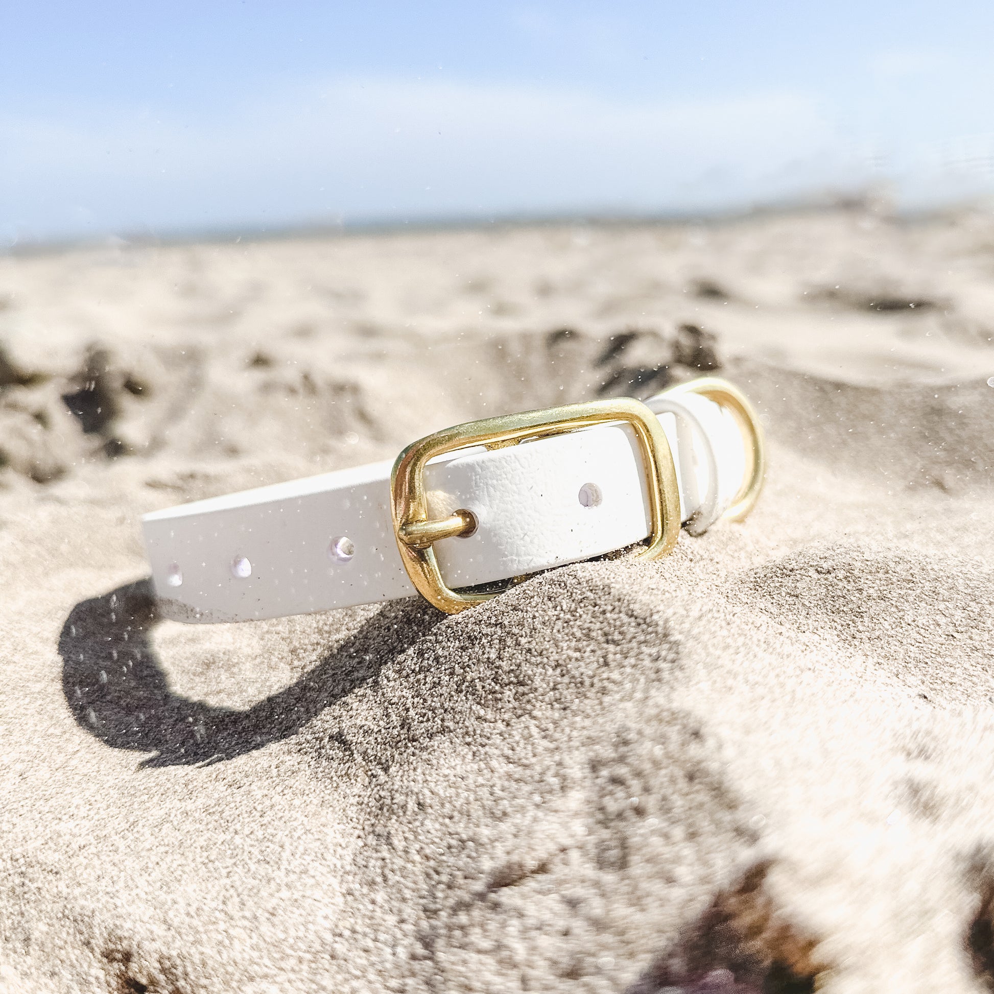Waterproof biothane dog collar handmade in British Columbia by Wanderlust Pup Co