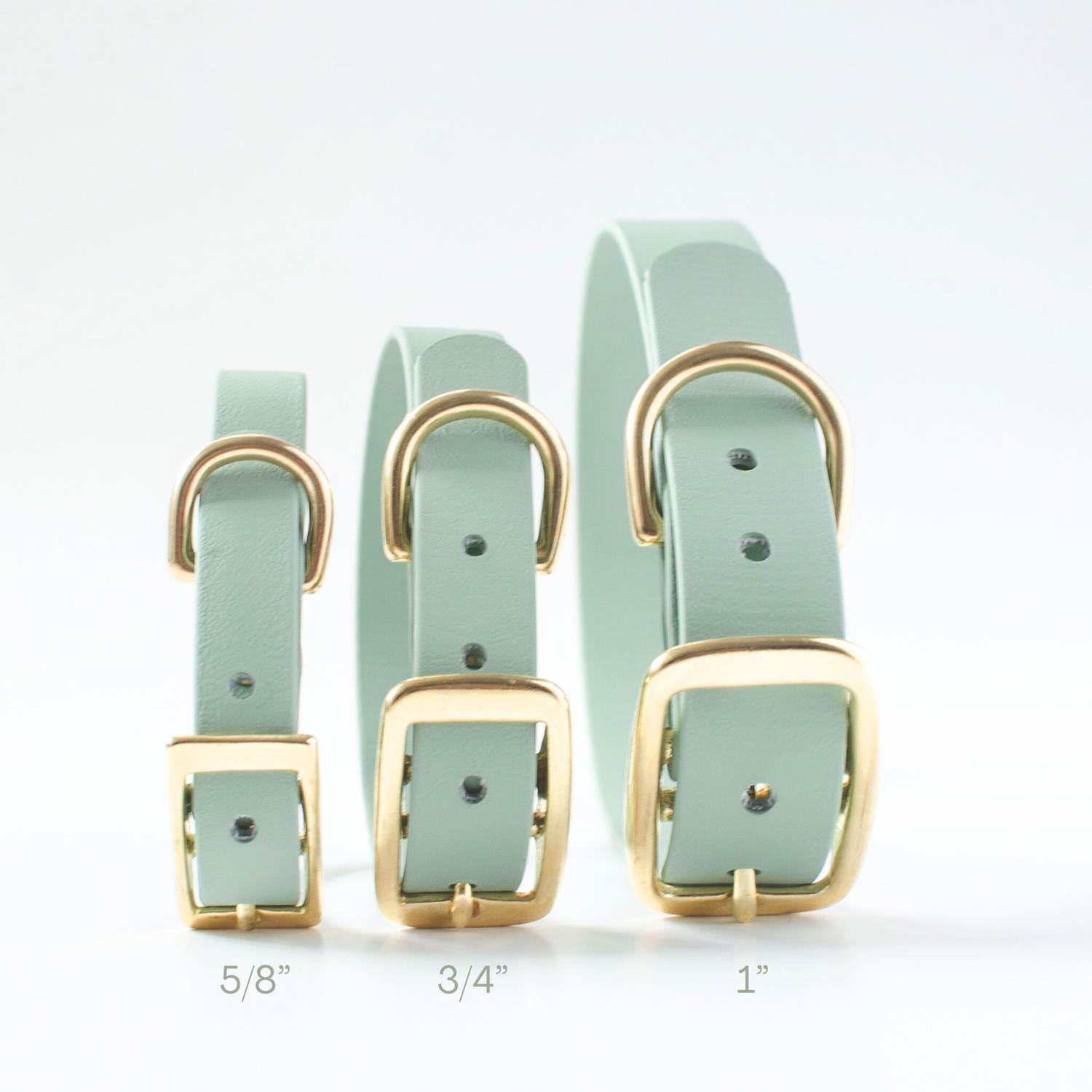 Waterproof biothane dog collar handmade in canada