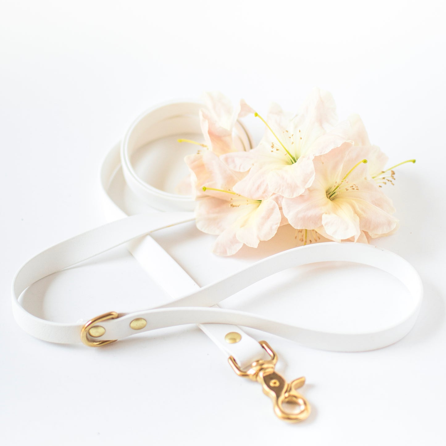 Wanderlust Pup Co. Biothane dog leash. Handmade in British Columbia, Canada. Waterproof and odourproof dog collar and leash