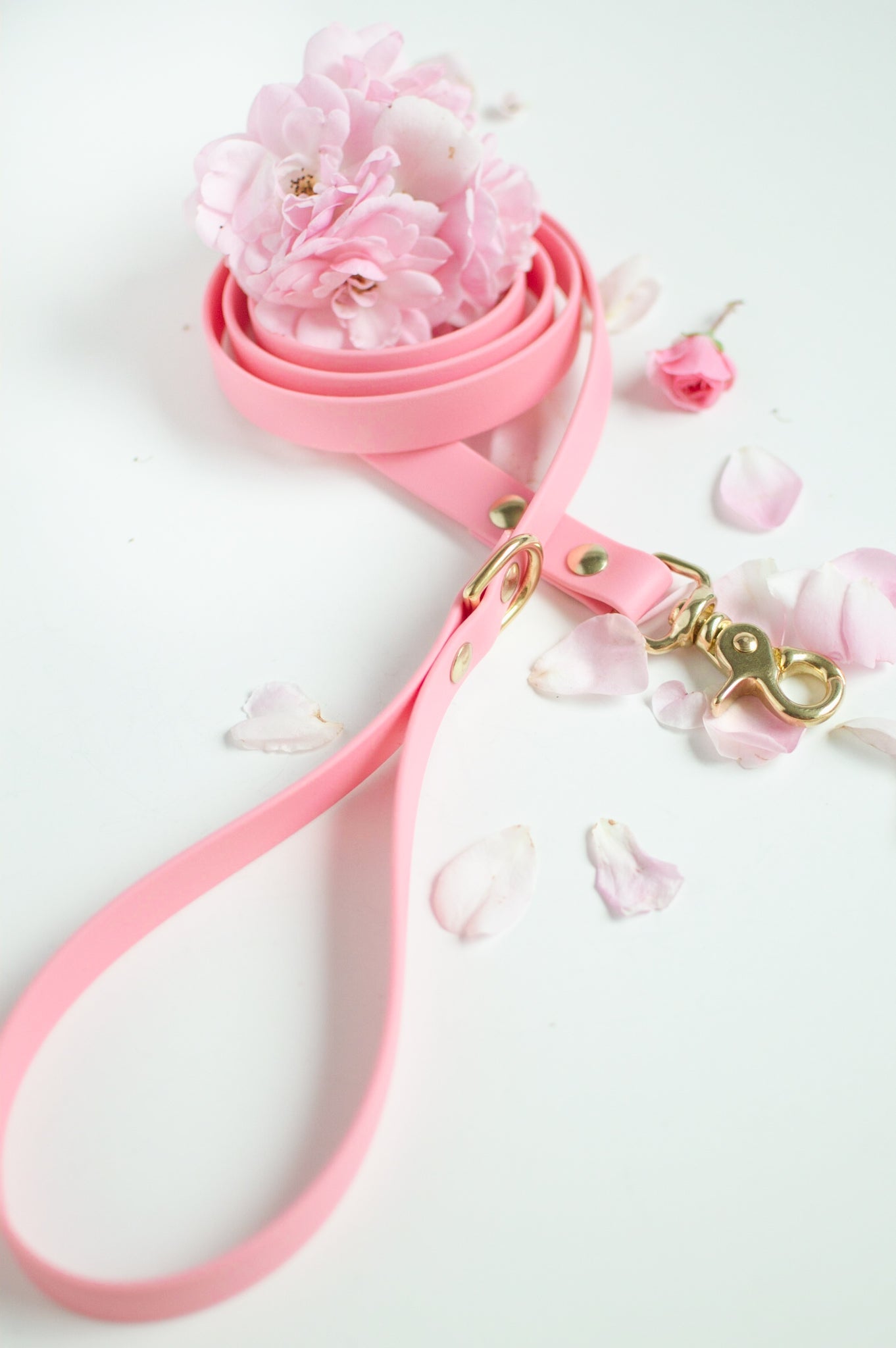 Wanderlust Pup Co. biothane dog leash is waterproof, odour-resistant, and ready for a walk in the city, hike in the woods, or a day at the beach. Made of Biothane with solid brass hardware. Handmade British Columbia, Canada