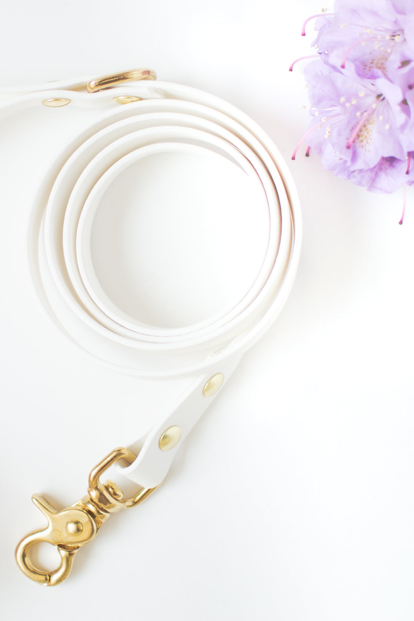 Wanderlust Pup Co. biothane dog leash is waterproof, odour-resistant, and ready for a walk in the city, hike in the woods, or a day at the beach. Made of Biothane with solid brass hardware. Handmade British Columbia, Canada