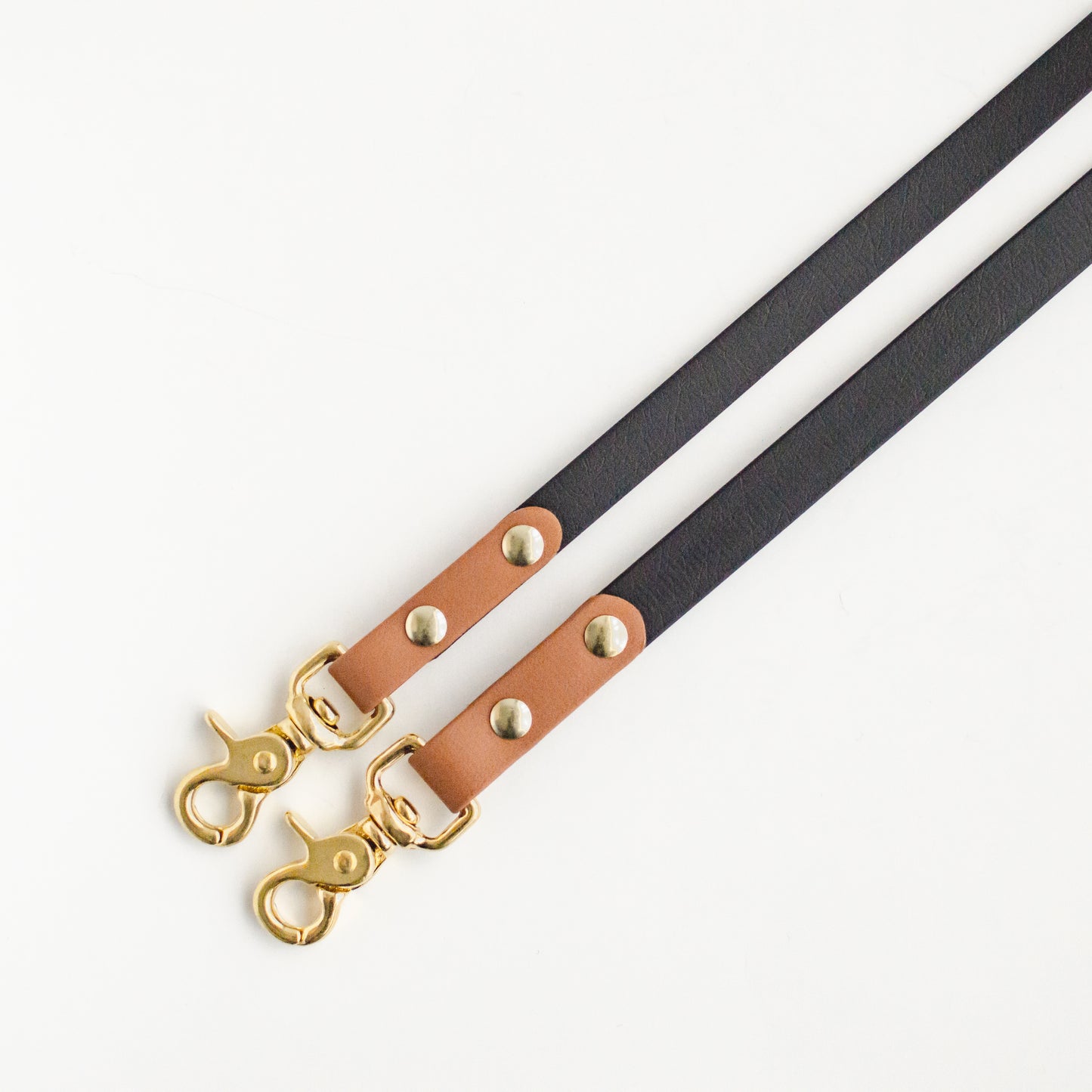 Two-Tone Biothane Dog Leash