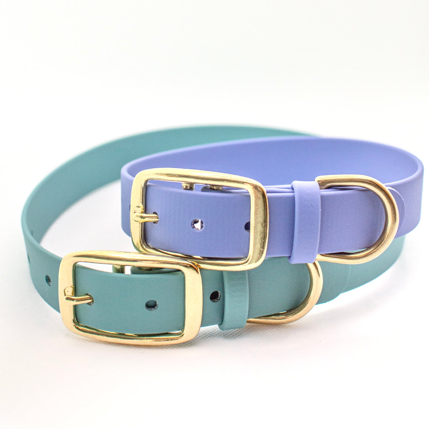 Biothane Dog Collar Handmade in Canada. Shipping to USA. Waterproof, odourproof, strong and easy to clean dog leash.