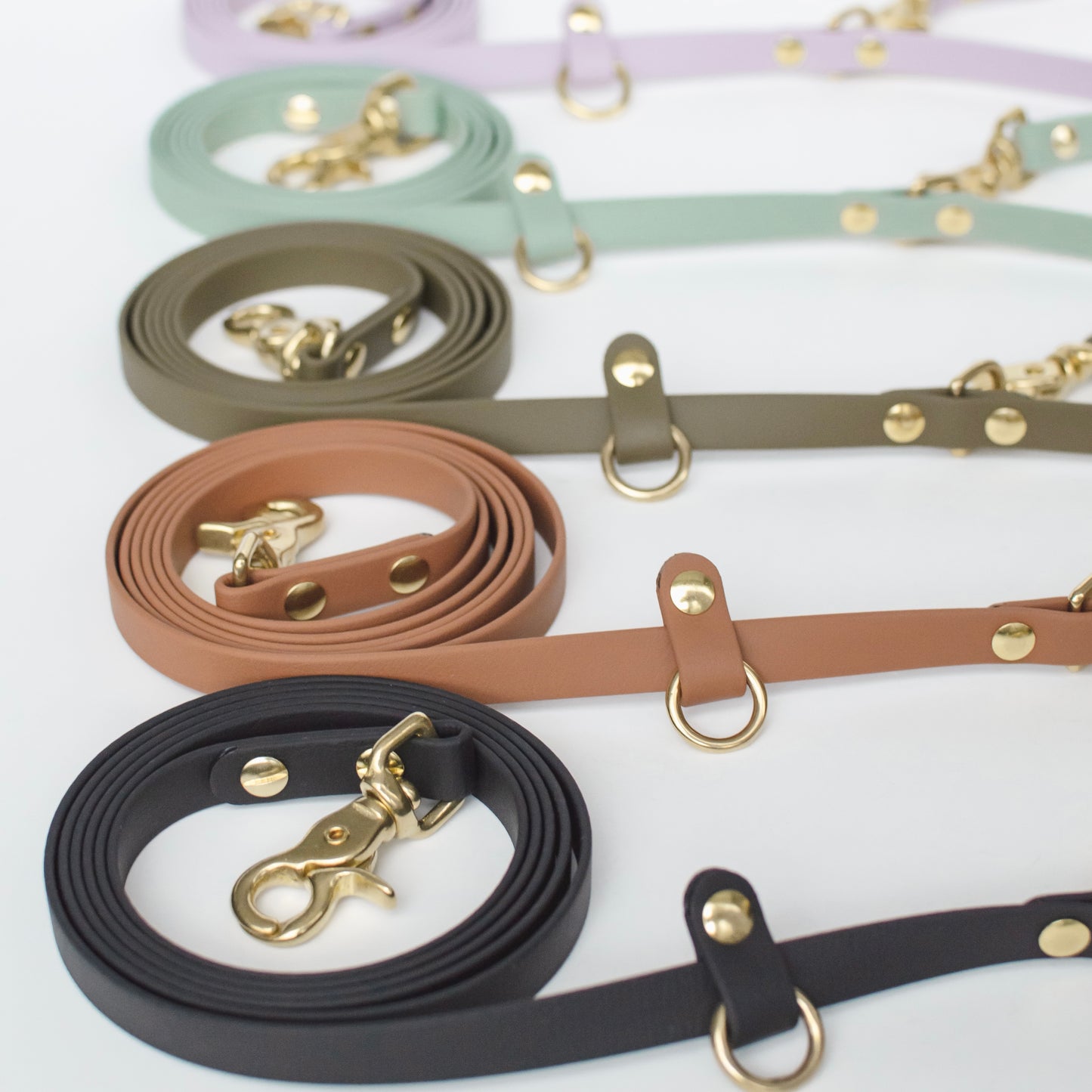 Handsfree waterproof biothane dog leash with solid brass hardware. Handmade in British Columbia, Canada