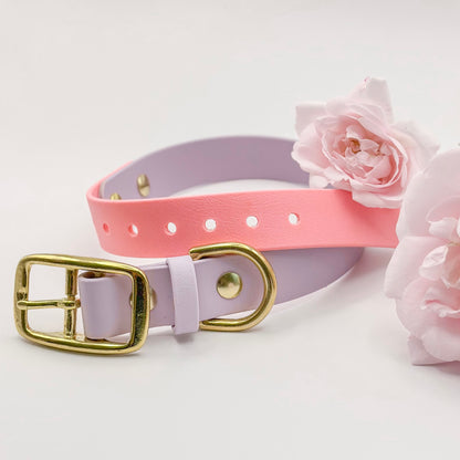 Two-Tone Biothane Dog Collar