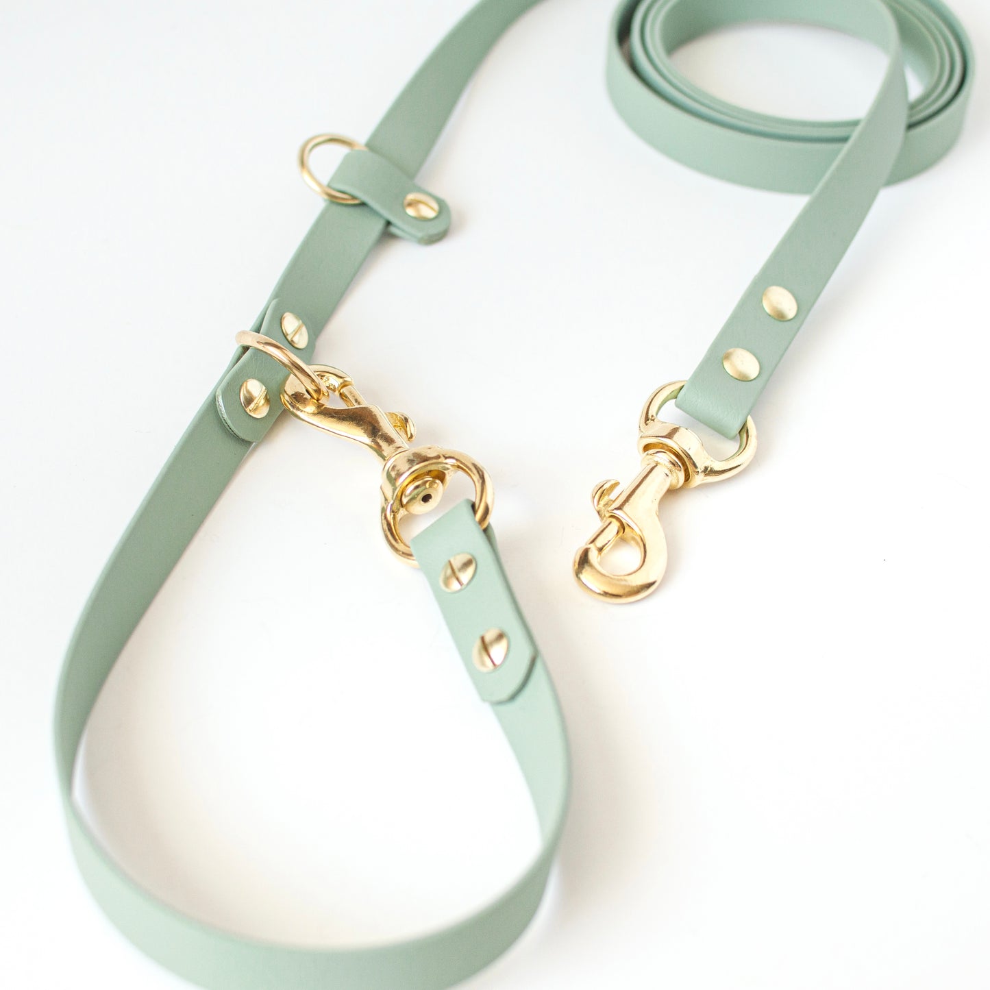 Handsfree waterproof biothane dog leash with solid brass hardware. Handmade in British Columbia, Canada