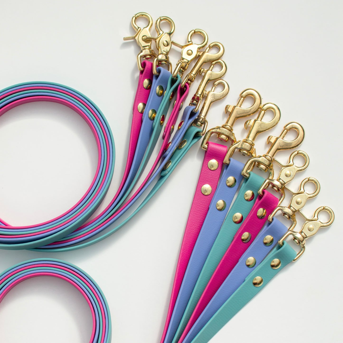 Classic Biothane Dog Leash