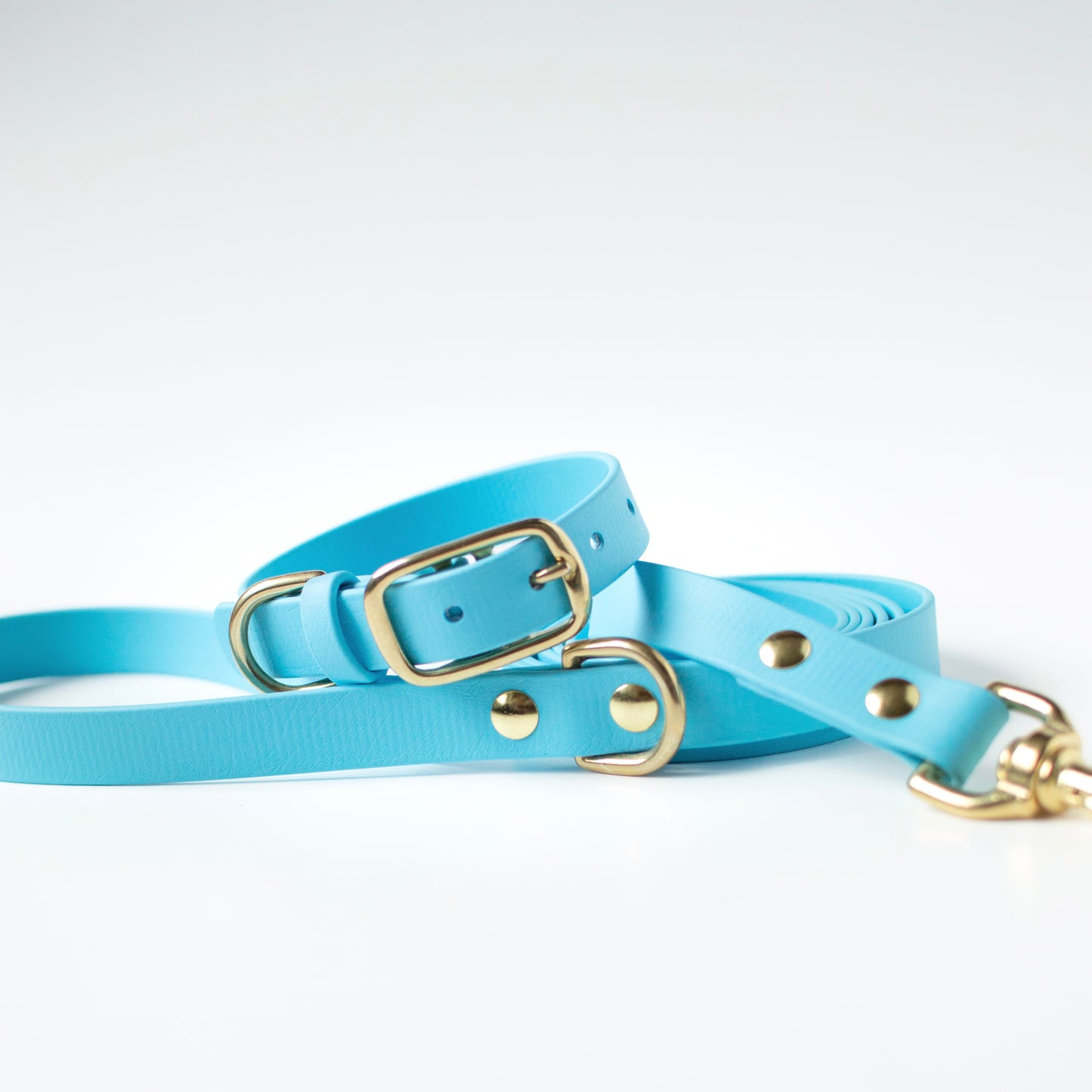 Classic Biothane Dog Leash