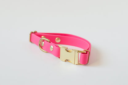 Wanderlust Pup Co. biothane dog collars are waterproof, odour-resistant, and ready for a walk in the city, hike in the woods, or a day at the beach. Made of Biothane with solid brass hardware. Handmade  British Columbia, Canada