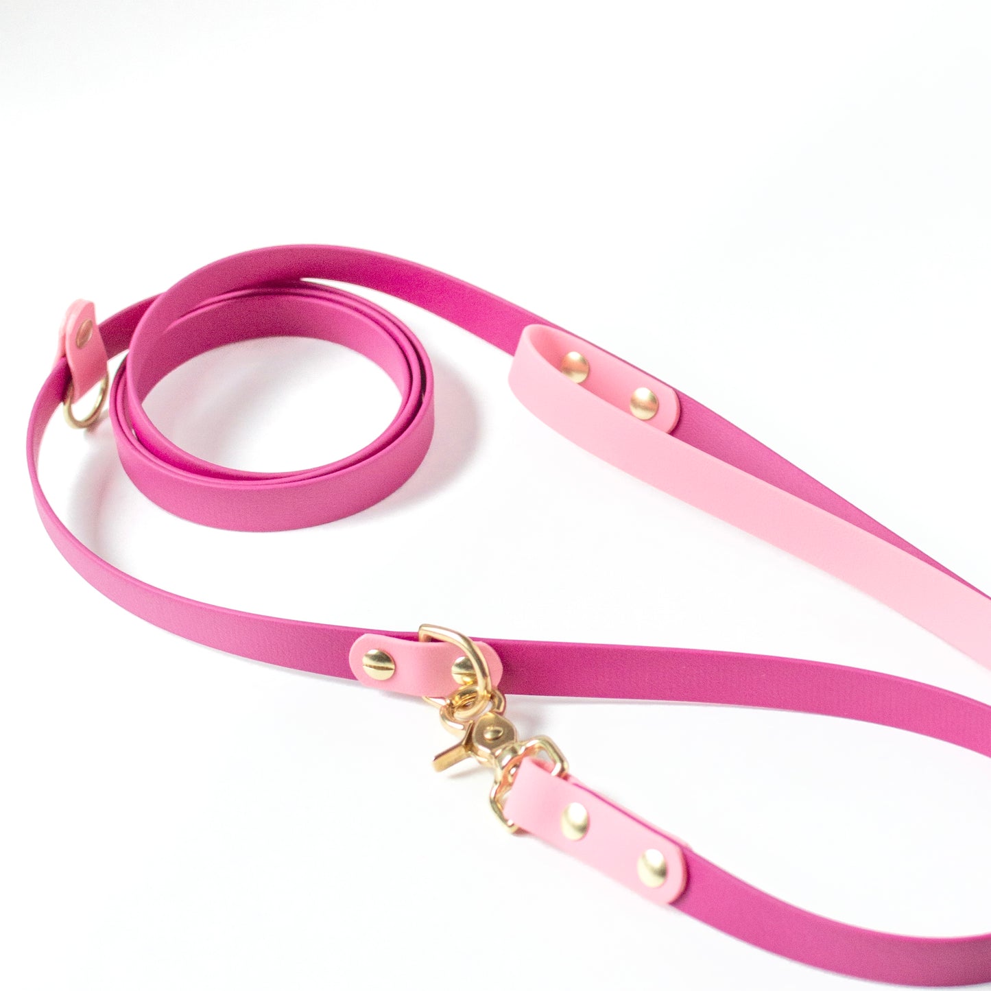 Two-tone biothane hands free dog leash. Vegan Leather. Handmade with biothane and solid brass hardware in British Columbia, Canada.