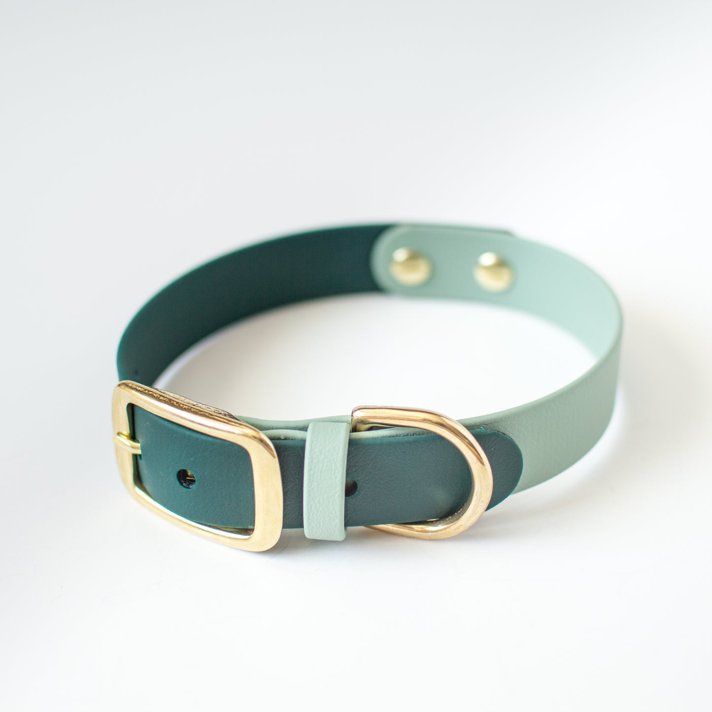 Two-Tone Biothane Dog Collar