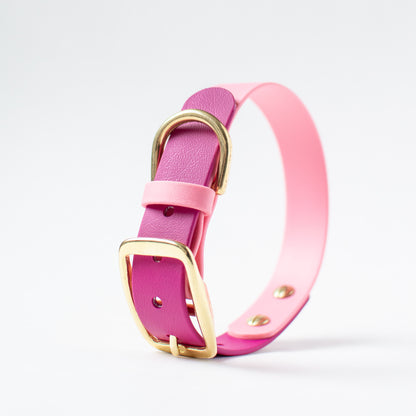 Two-Tone Biothane Dog Collar