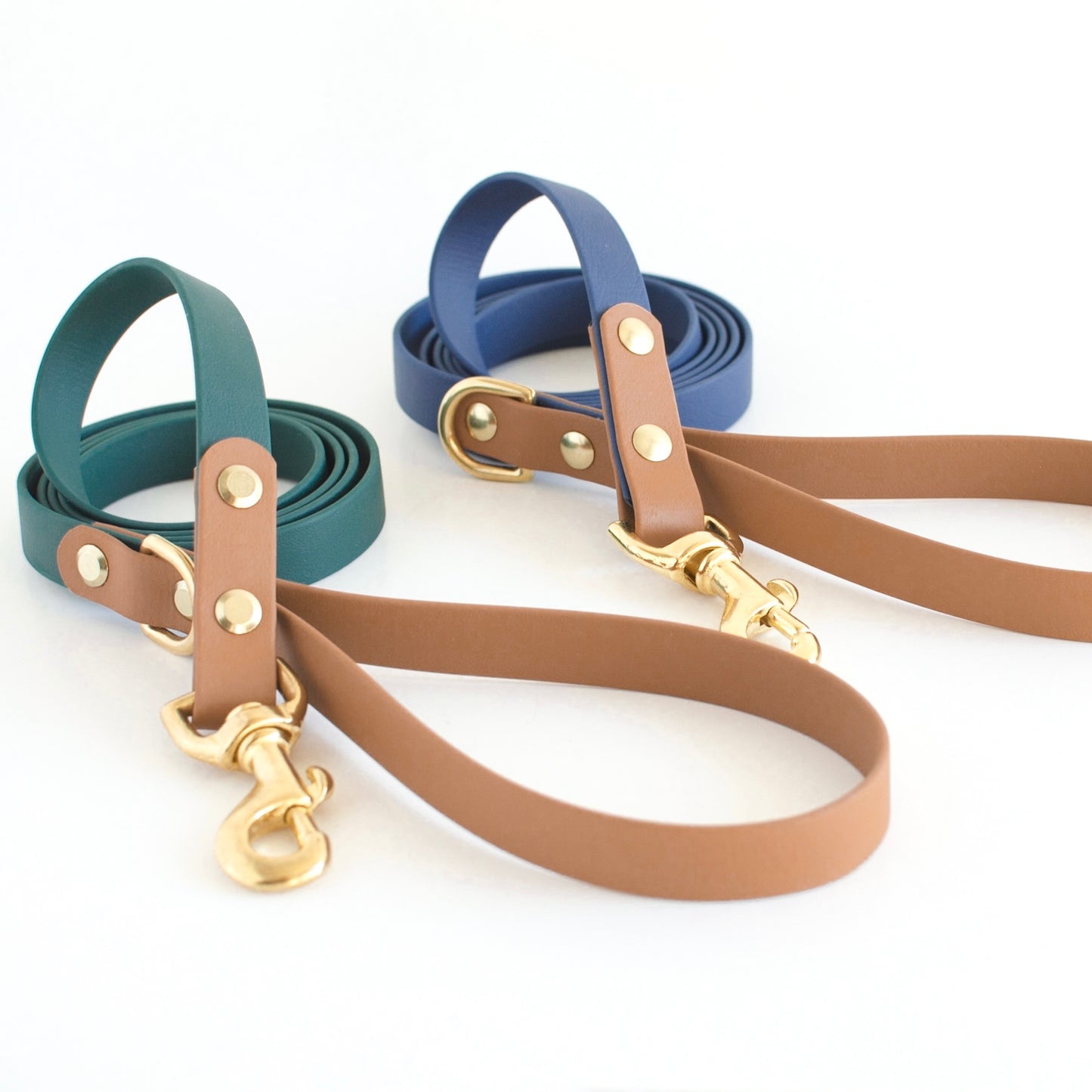 Two-Tone Biothane Dog Leash