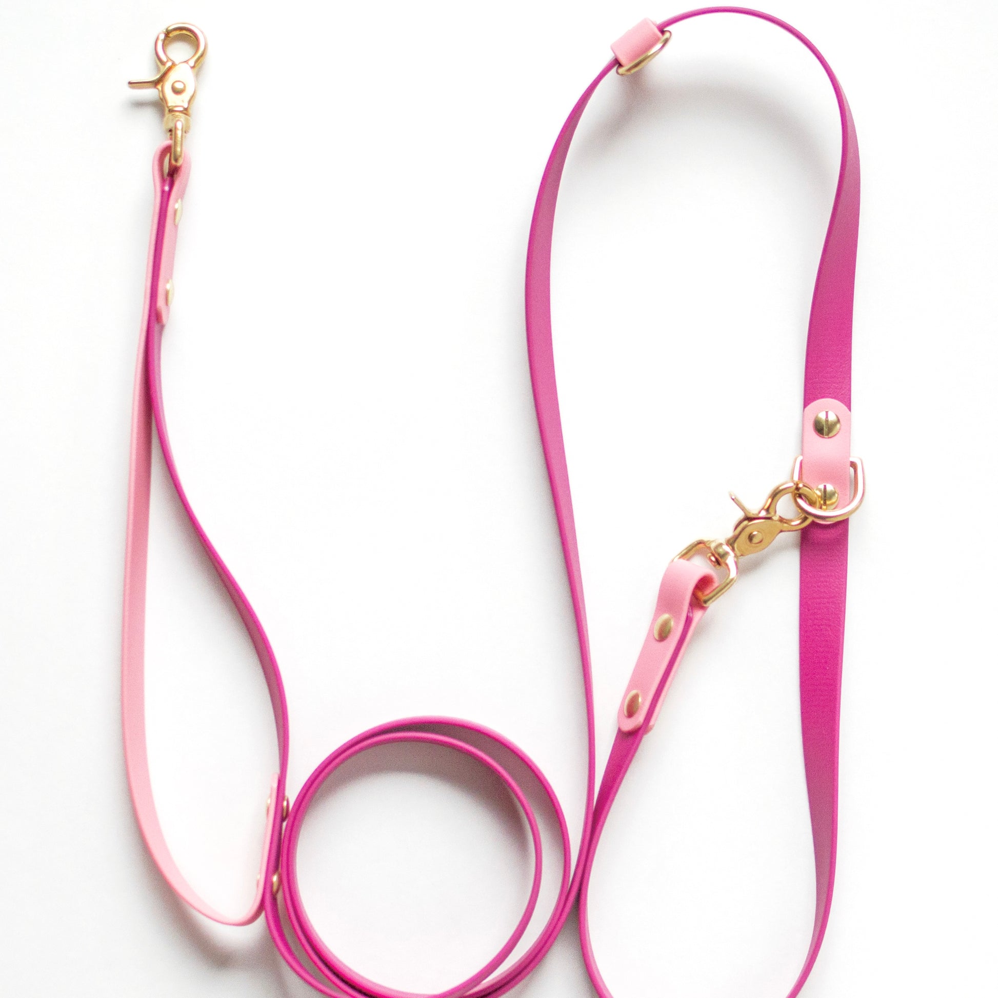 Two-tone biothane hands free dog leash. Vegan Leather. Handmade with biothane and solid brass hardware in British Columbia, Canada.