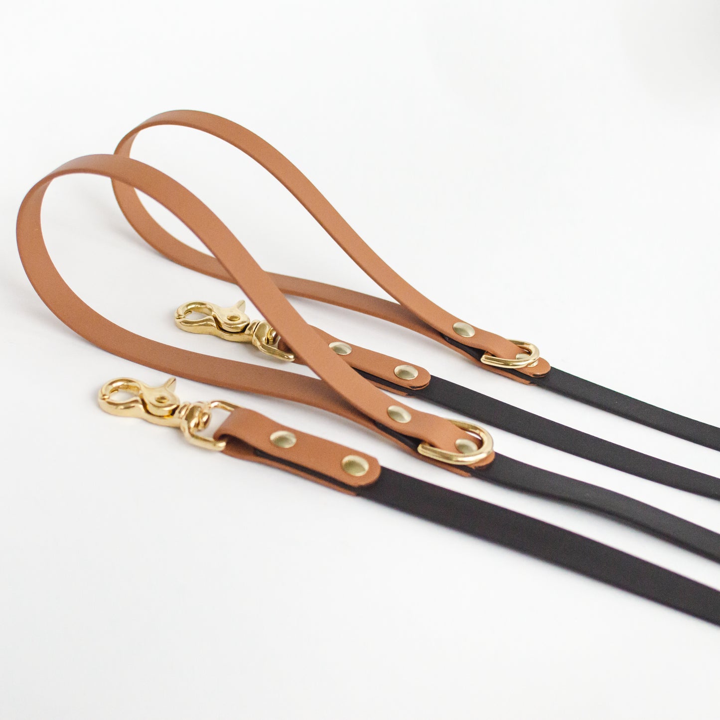 Two-Tone Biothane Dog Leash