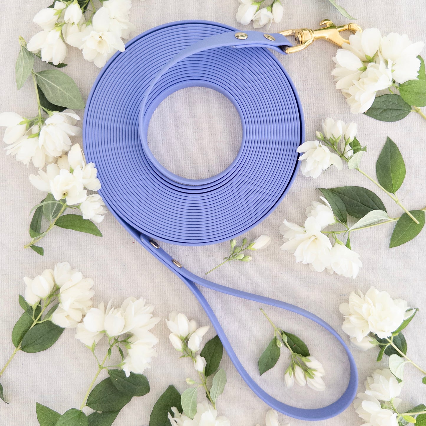 Biothane Longline Dog Leash by Wanderlust Pup Co.