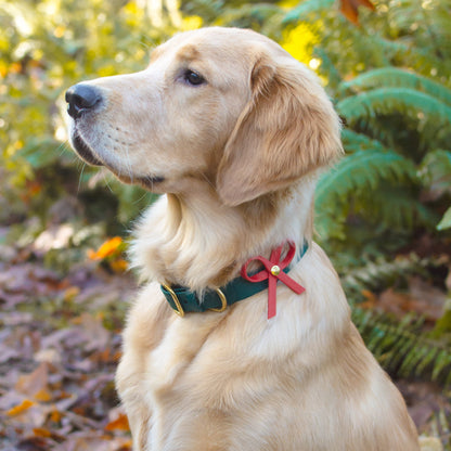 Wanderlust Pup Co. Biothane dog collar christmas collar with bow. Handmade in British Columbia, Canada