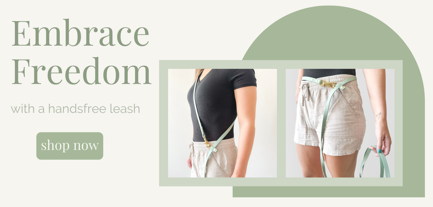 Wanderlust pup co waterproof hands free dog leash