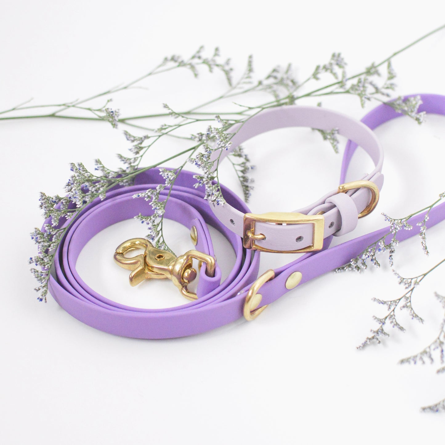 Classic Biothane Dog Leash