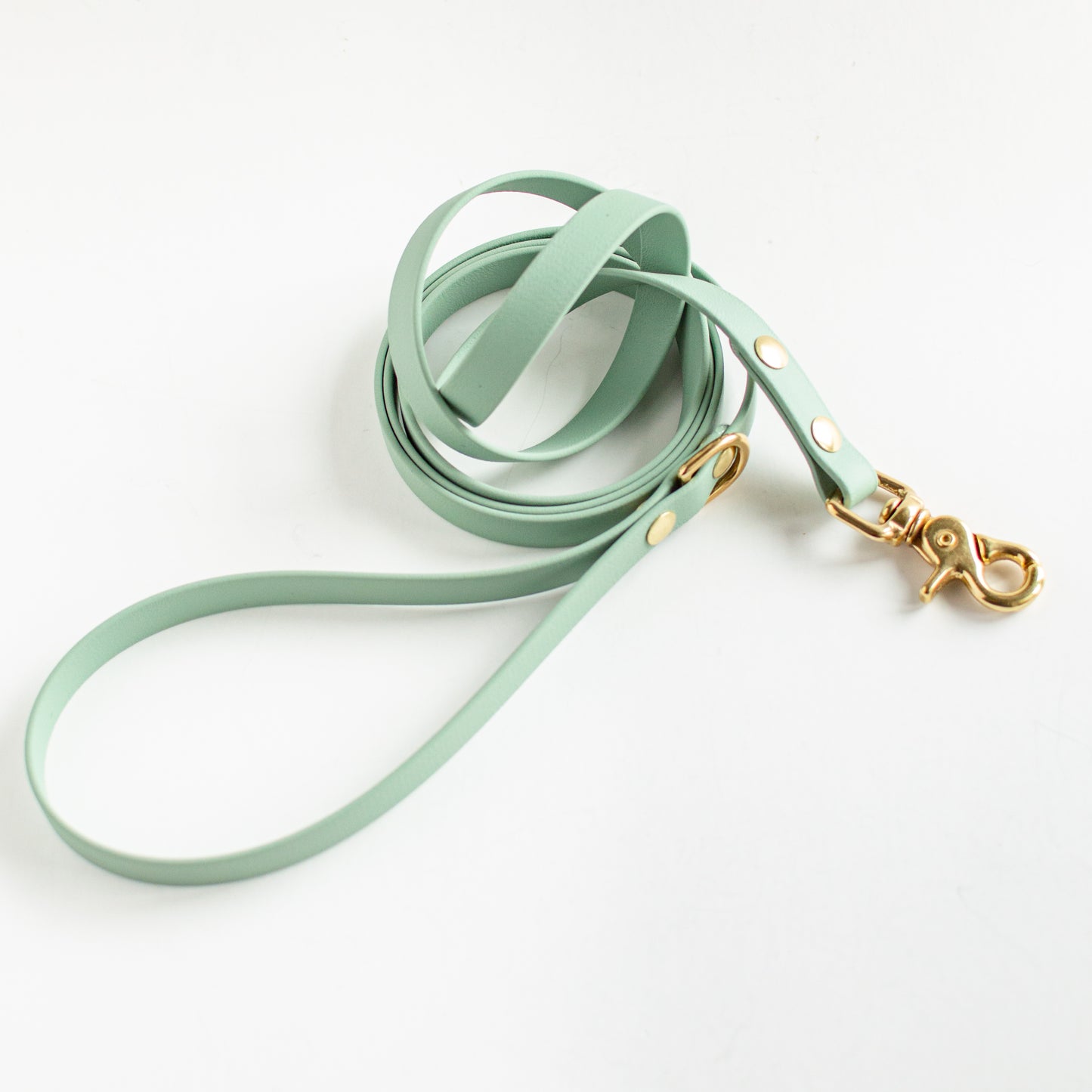 Classic Biothane Dog Leash