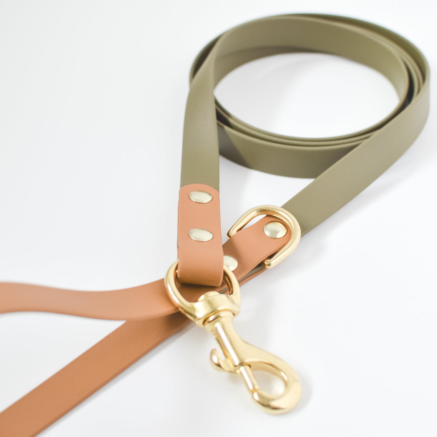 Two-Tone Biothane Dog Leash