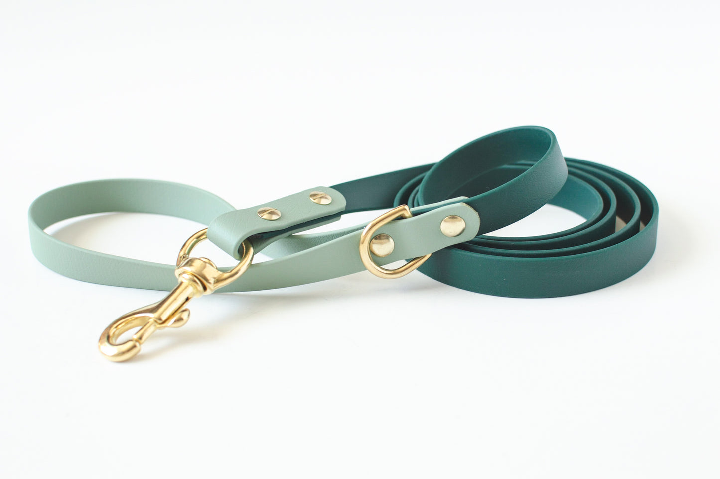 Two-Tone Biothane Dog Leash