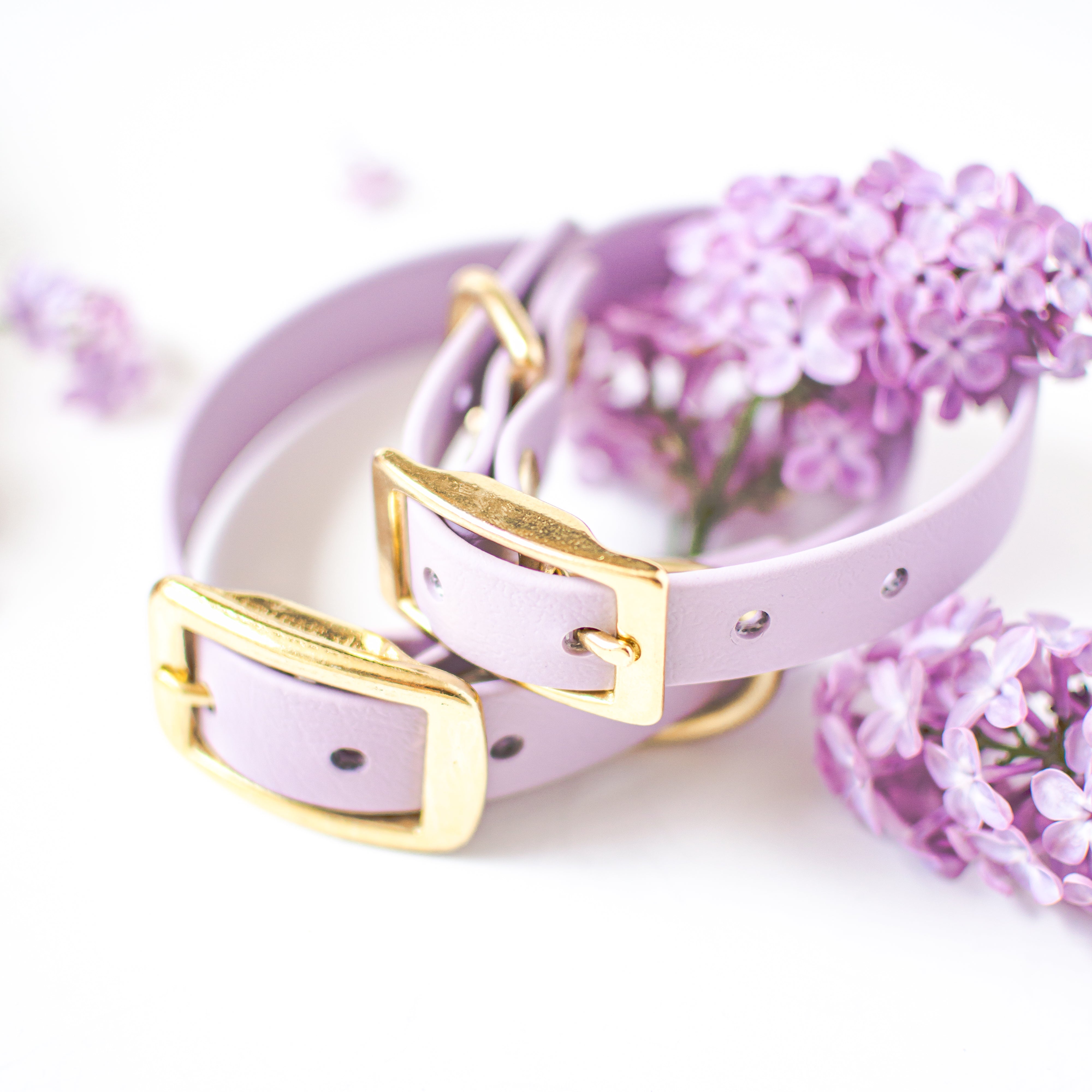 Rose gold dog store collar hardware wholesale